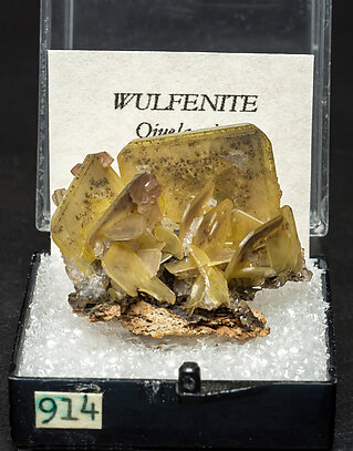 Wulfenite. Front