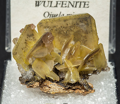 Wulfenite. Front