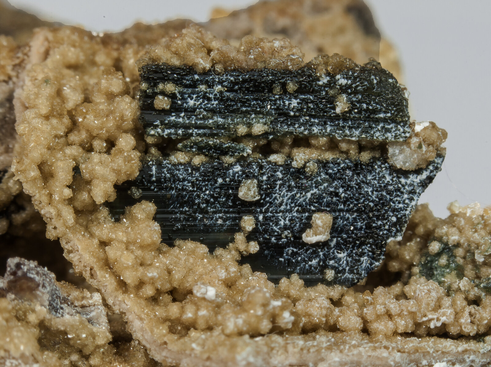 specimens/s_imagesAO4/Zanazziite-TFR96AO4d1.jpg