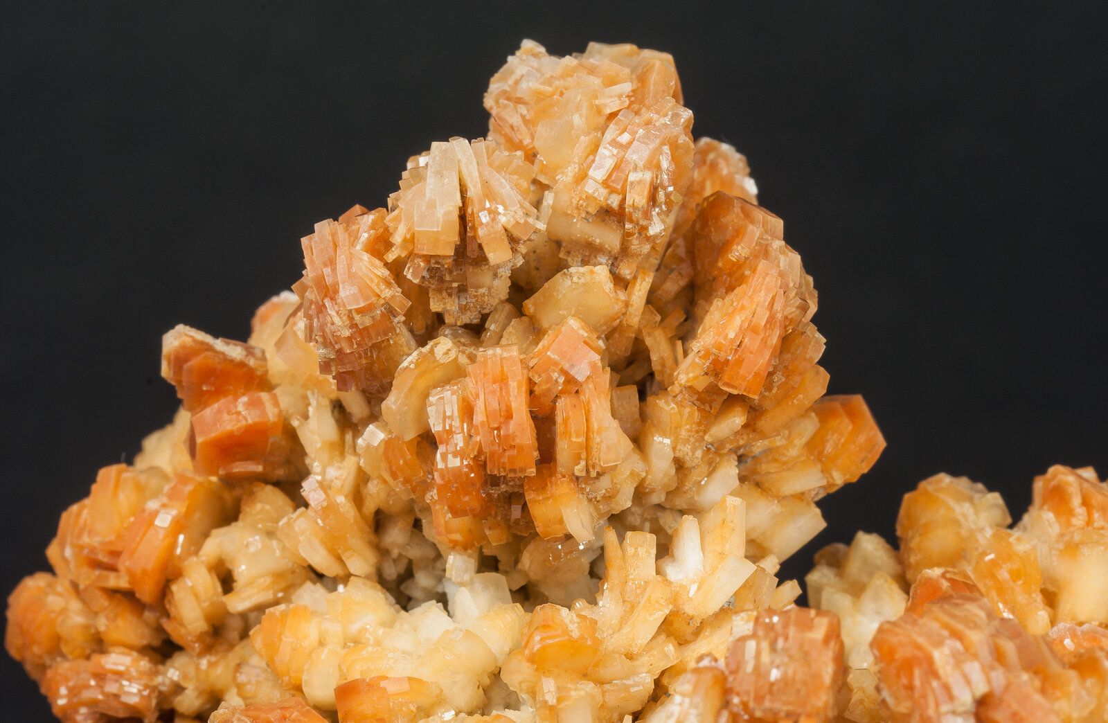 specimens/s_imagesAO5/Baryte-JFD130AO5d1.jpg
