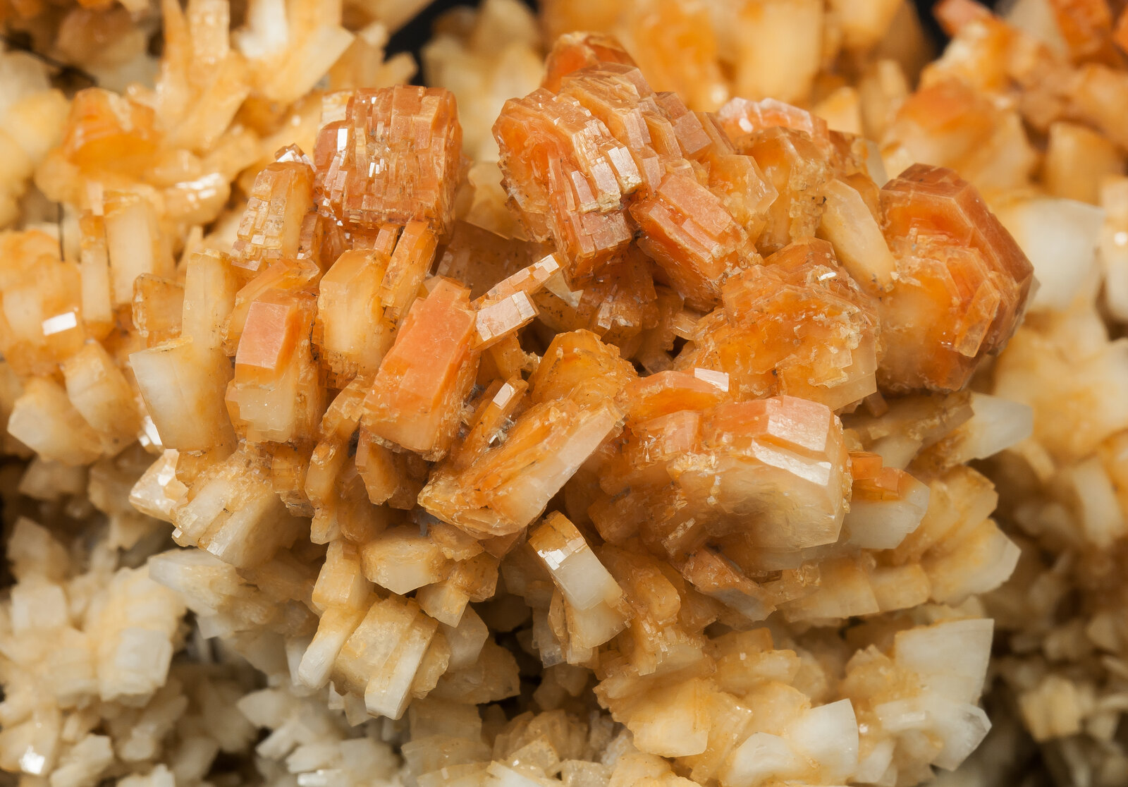 specimens/s_imagesAO5/Baryte-JFD130AO5d2.jpg