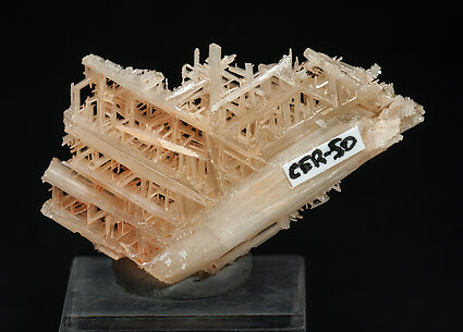 Cerussite. Rear