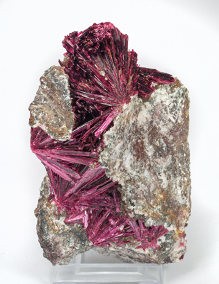 Erythrite. 