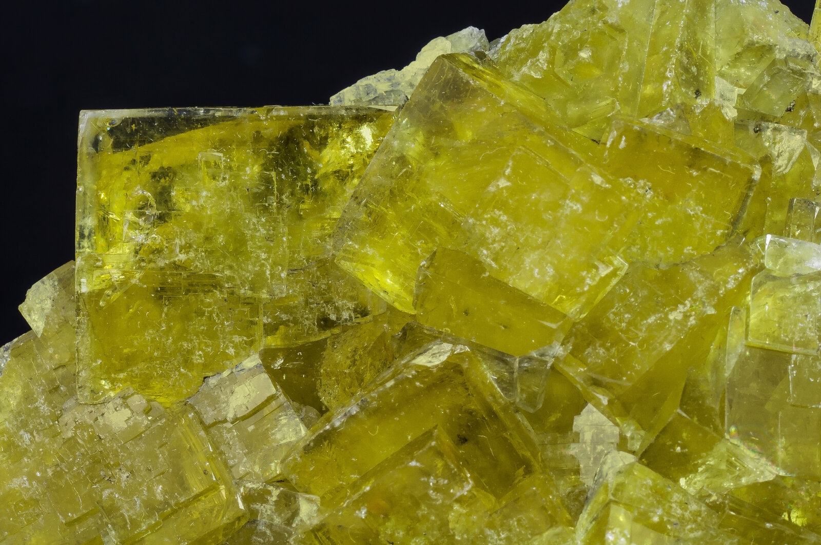 specimens/s_imagesAO5/Fluorite-JFD134AO5d.jpg