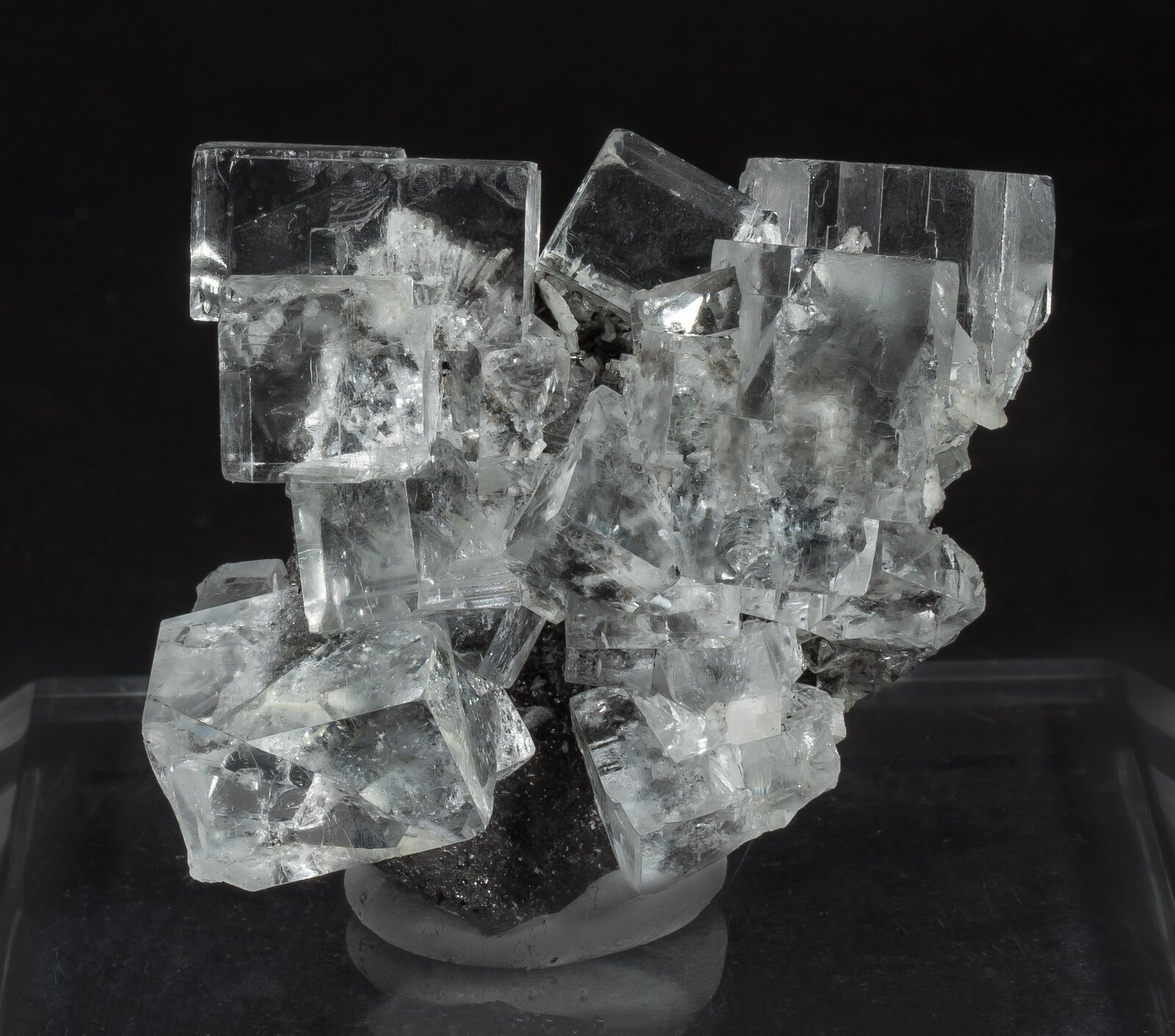 specimens/s_imagesAO5/Fluorite-NLB27AO5f.jpg