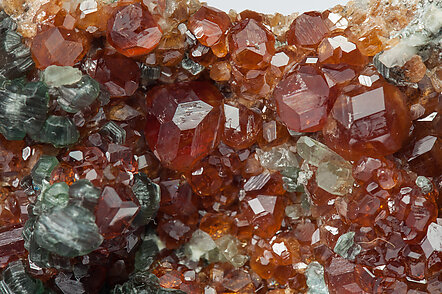 Grossular (variety hessonite) with Clinochlore. 