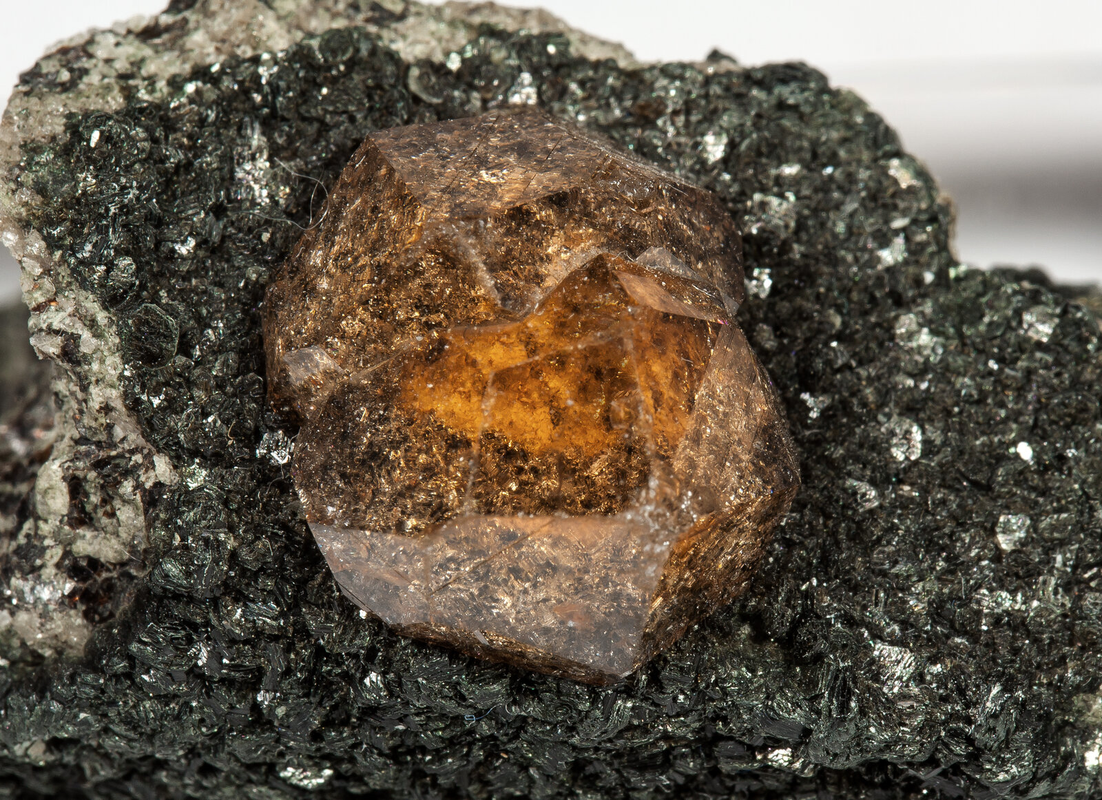 specimens/s_imagesAO5/Grossular_hessonite-NFY67AO5d.jpg