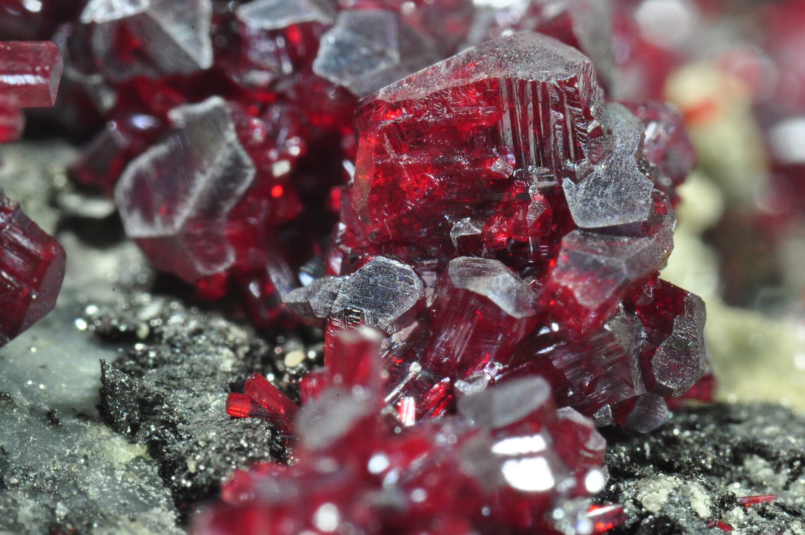 specimens/s_imagesAO5/Proustite-JFD132AO5d1.jpg