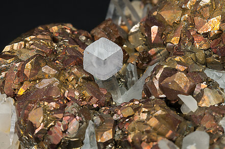 Pyrite with Quartz and Calcite. 