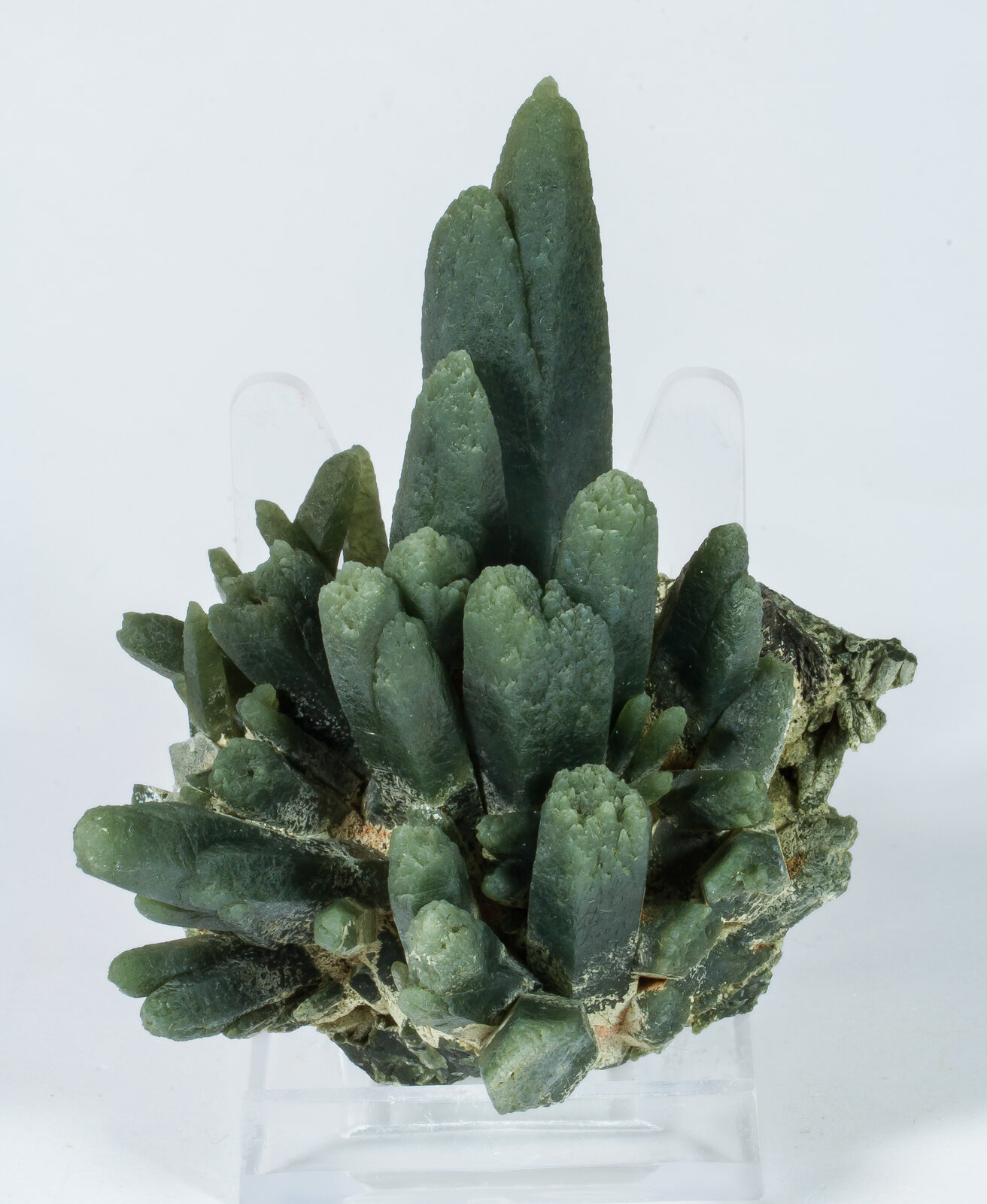 specimens/s_imagesAO5/Quartz_prase-TLP27AO5f.jpg