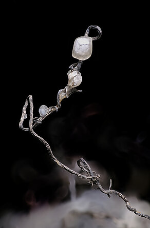 Silver with Calcite. Detail / Photo: Joaquim Calln