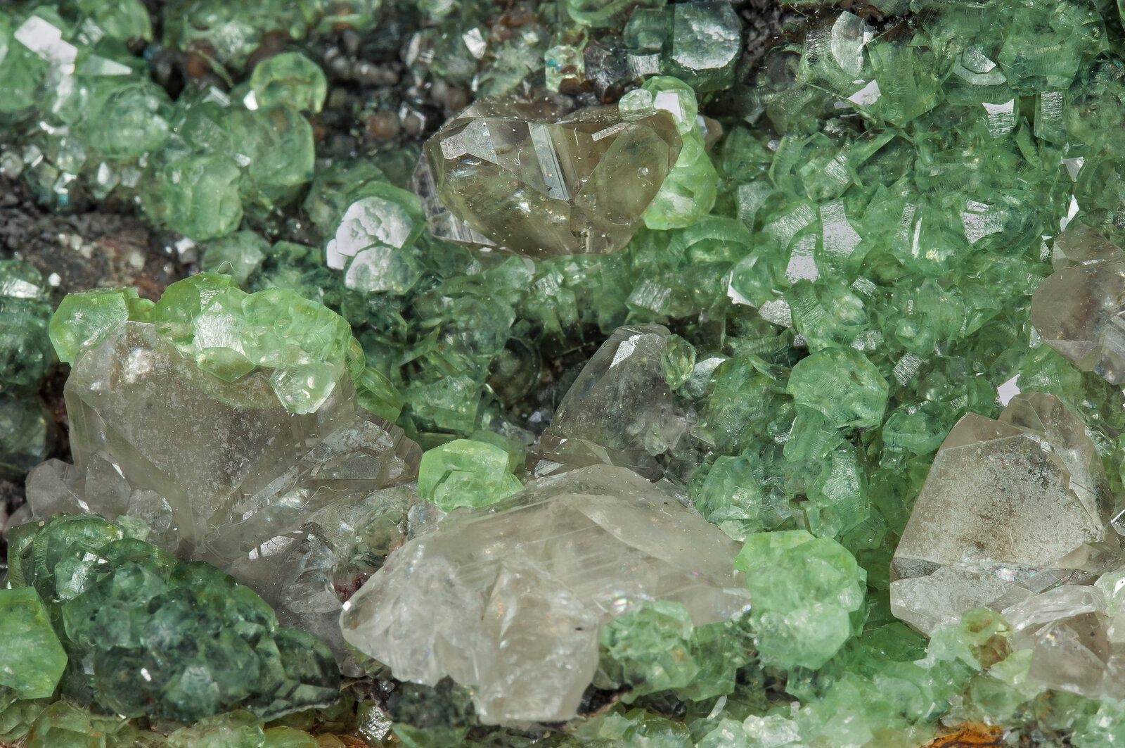 specimens/s_imagesAO5/Smithsonite-BFR37AO5d1.jpg