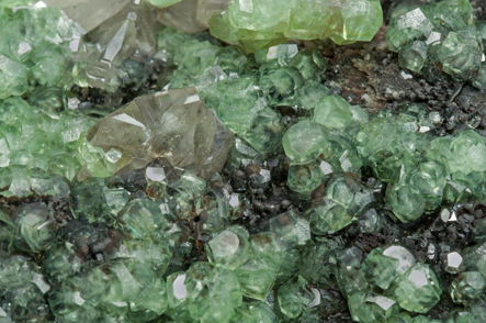 Smithsonite (variety Cu-bearing smithsonite) with Cerussite. 