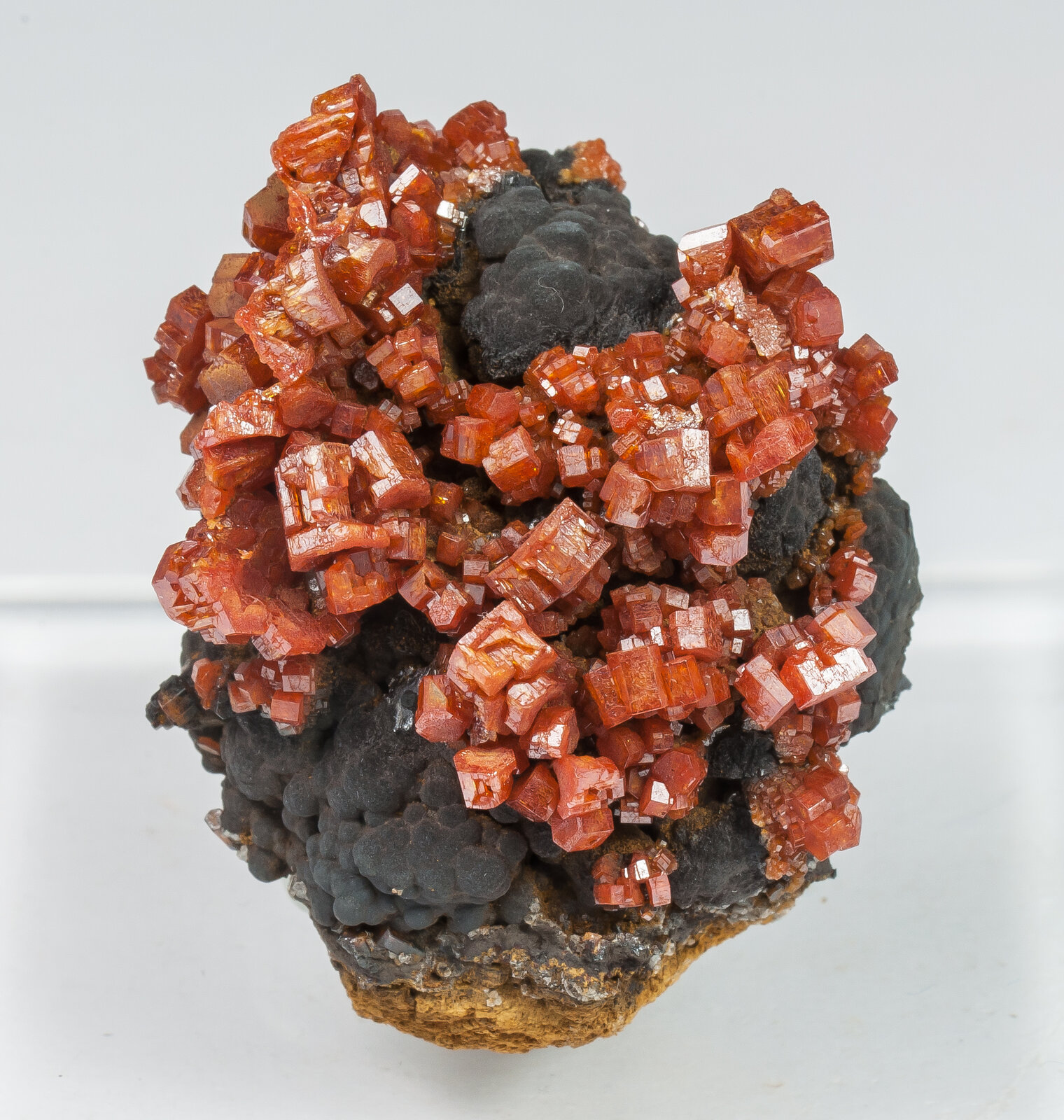 specimens/s_imagesAO5/Vanadinite-TFB96AO5f.jpg