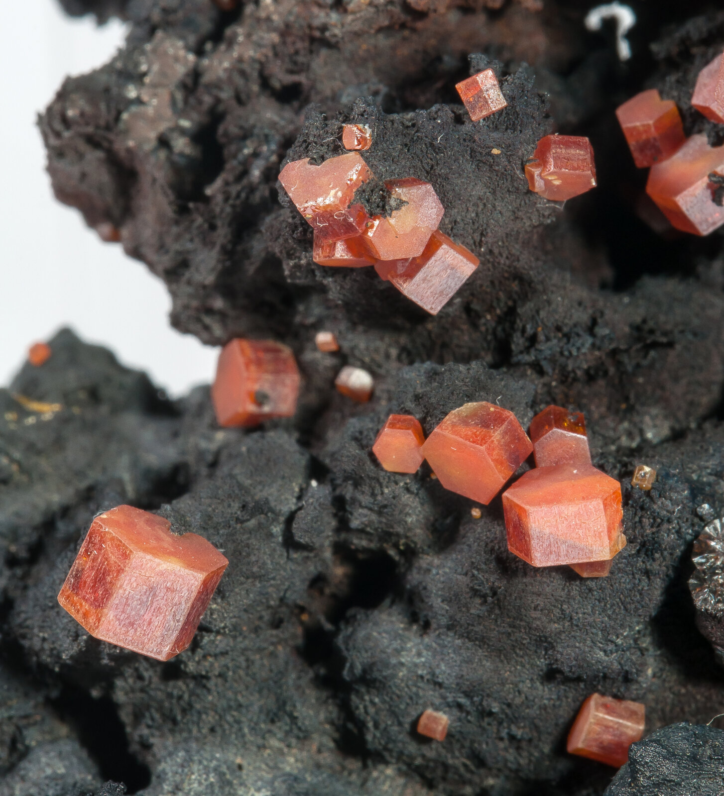 specimens/s_imagesAO5/Vanadinite-TMA66AO5d.jpg