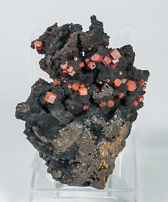 Vanadinite on manganese oxides. 