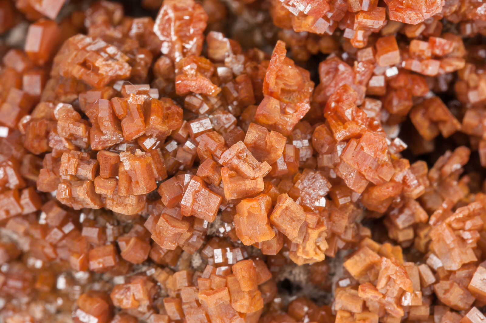 specimens/s_imagesAO5/Vanadinite-TVL47AO5d1.jpg