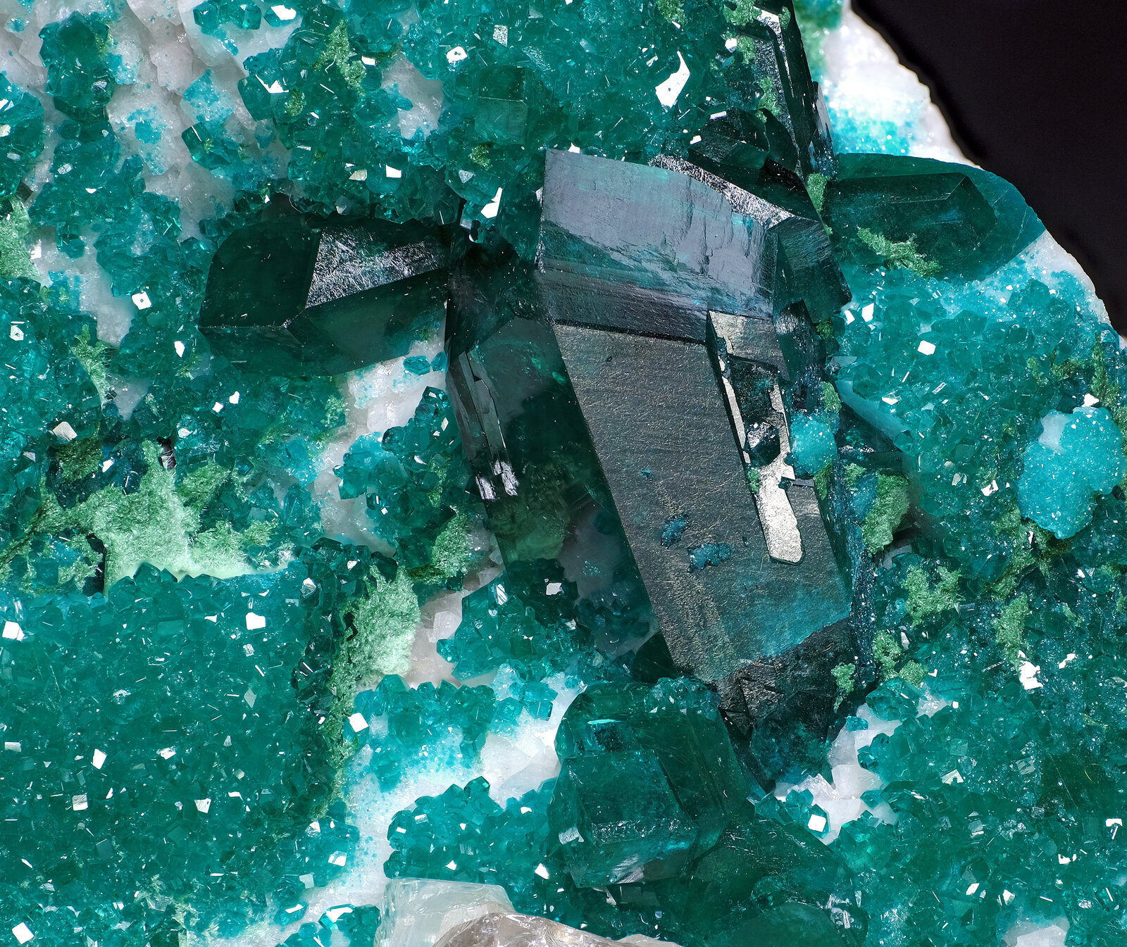 specimens/s_imagesAO6/Dioptase-BTR94AO6-2870-d1.jpg