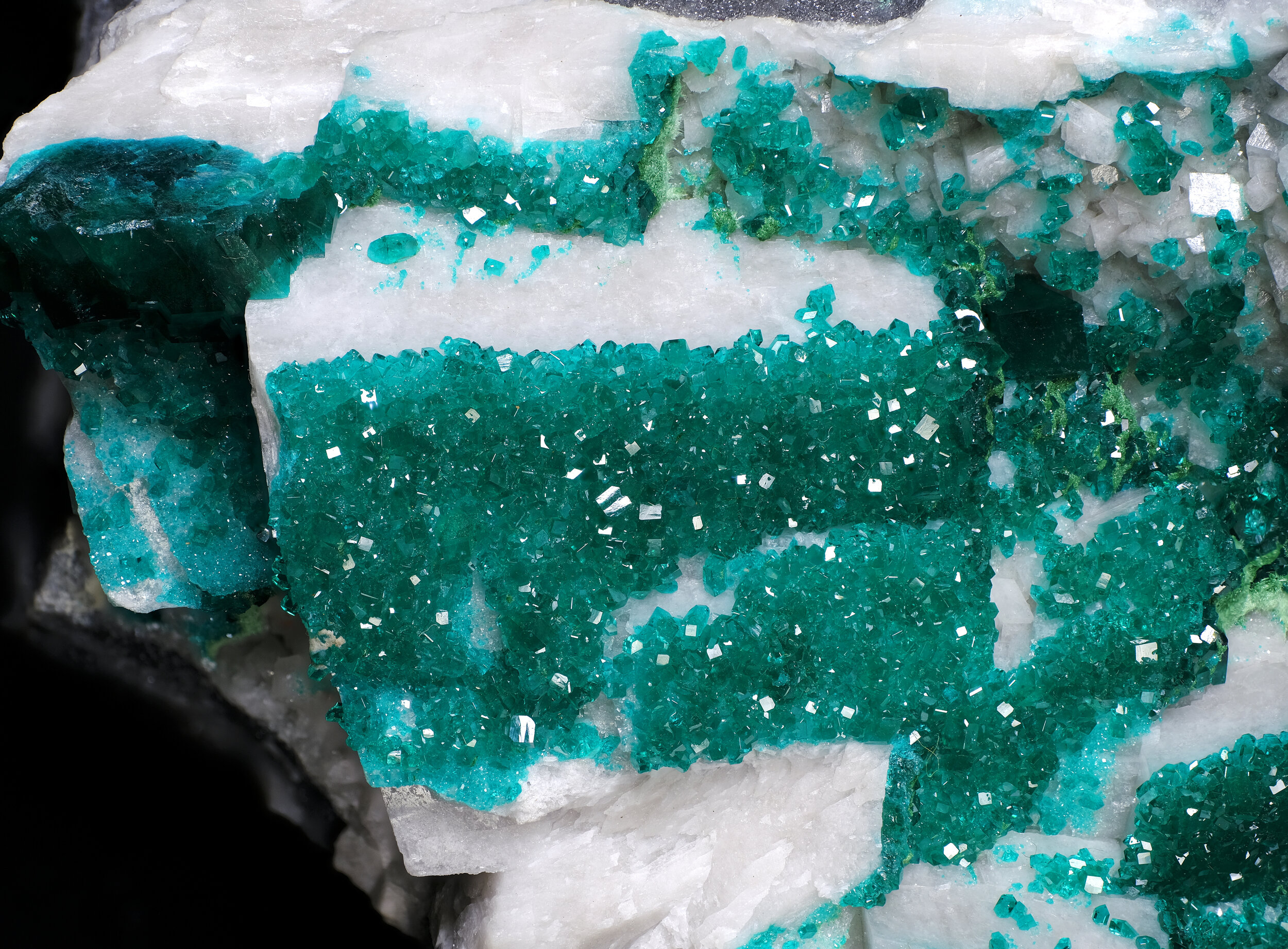 specimens/s_imagesAO6/Dioptase-BTR94AO6-3051-d2.jpg