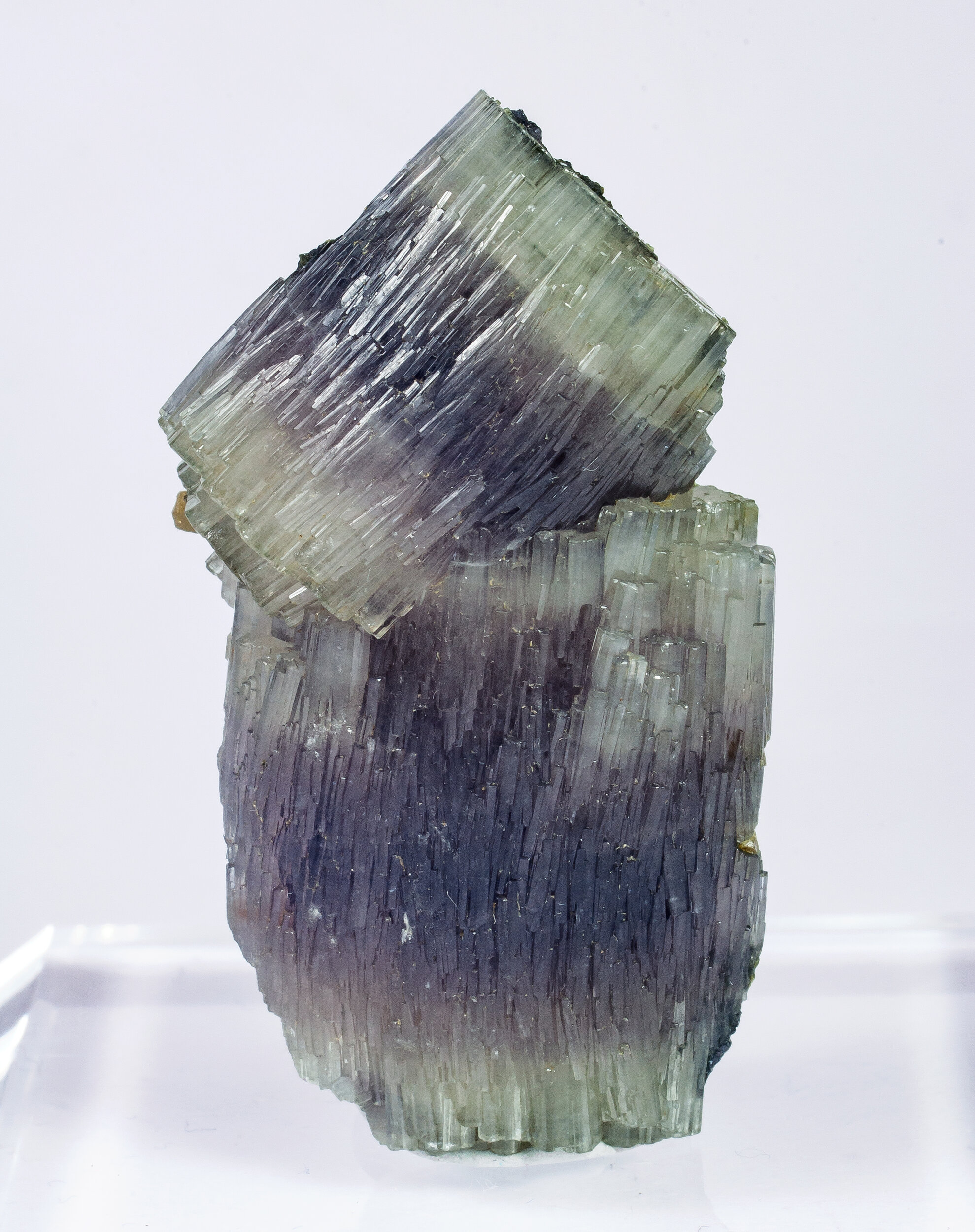 specimens/s_imagesAO6/Fluorapatite-NFF89AO6f.jpg