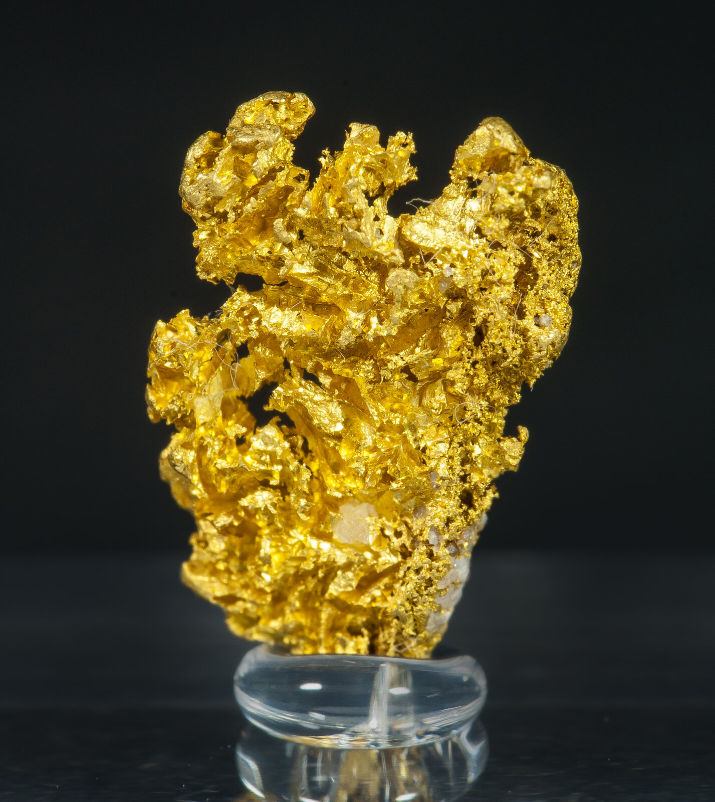specimens/s_imagesAO6/Gold-JFD136AO6r.jpg