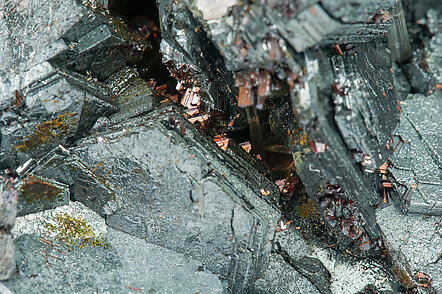 Hematite with Rutile, Margarite and Chloritoid. 