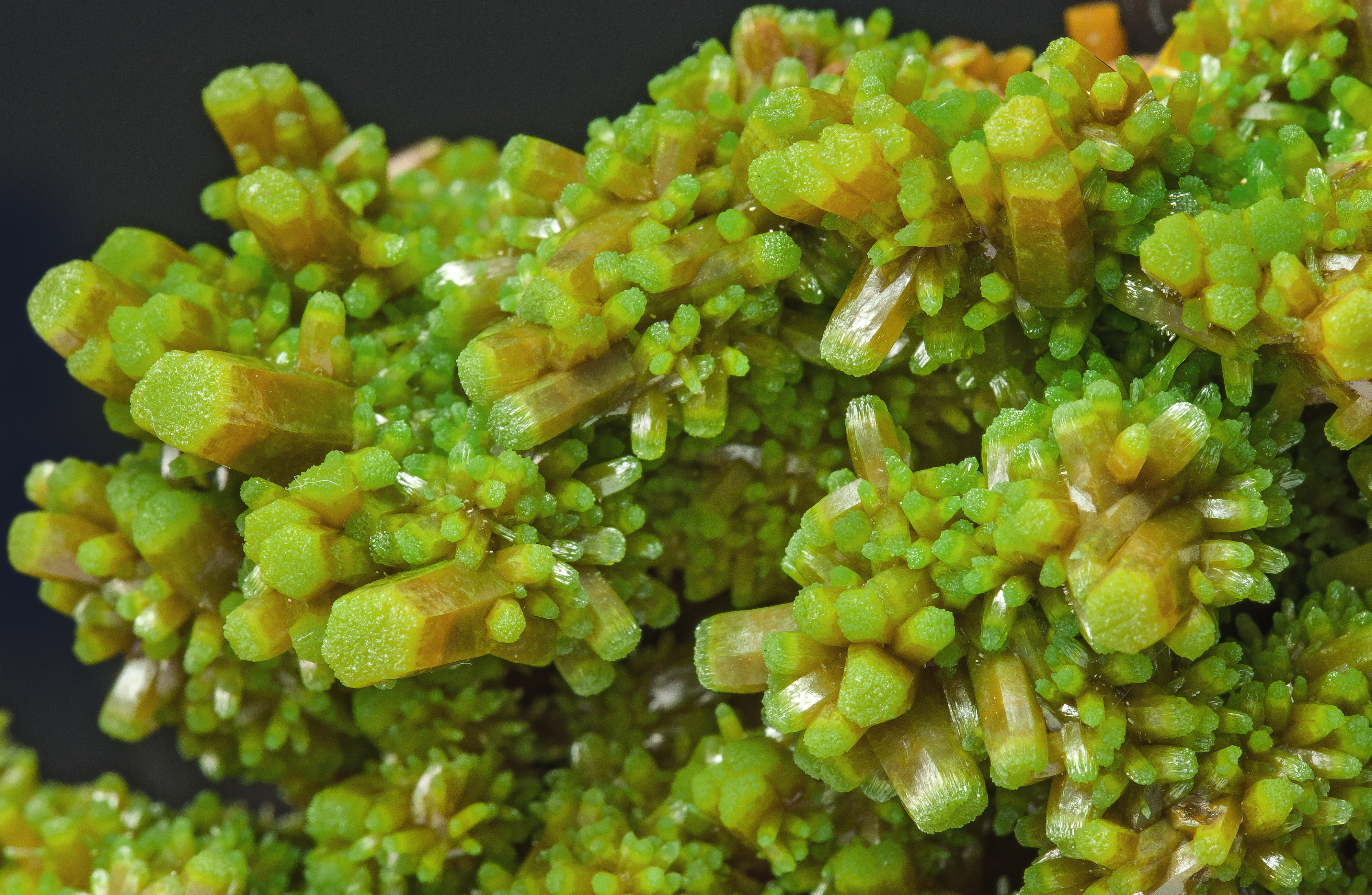 specimens/s_imagesAO6/Pyromorphite-JFD140AO6d1.jpg