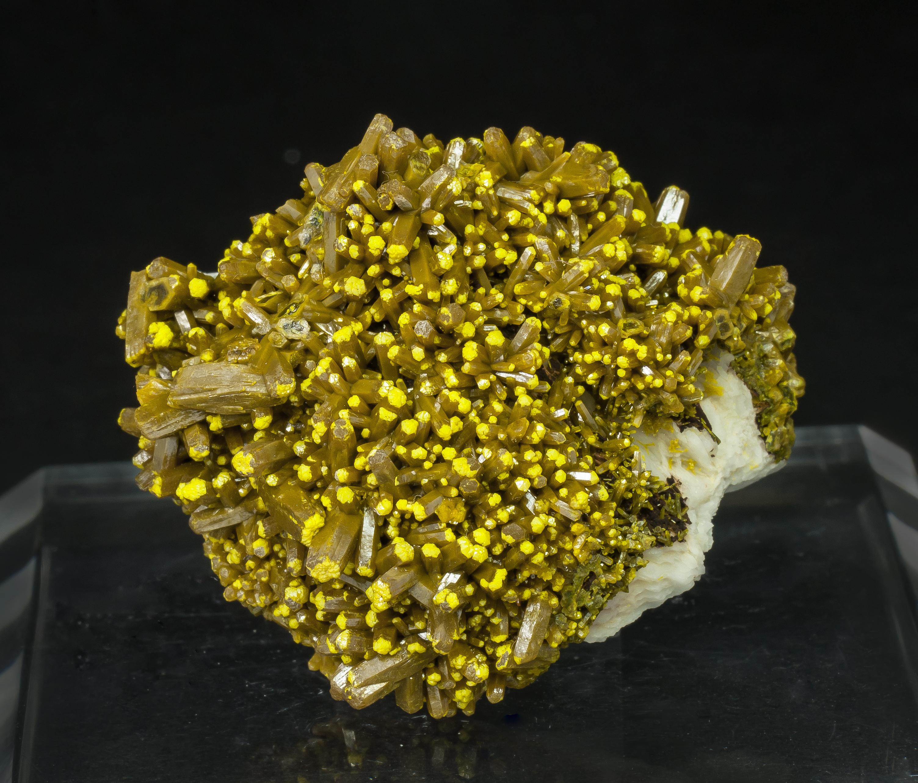 specimens/s_imagesAO6/Pyromorphite-TFM98AO6f.jpg