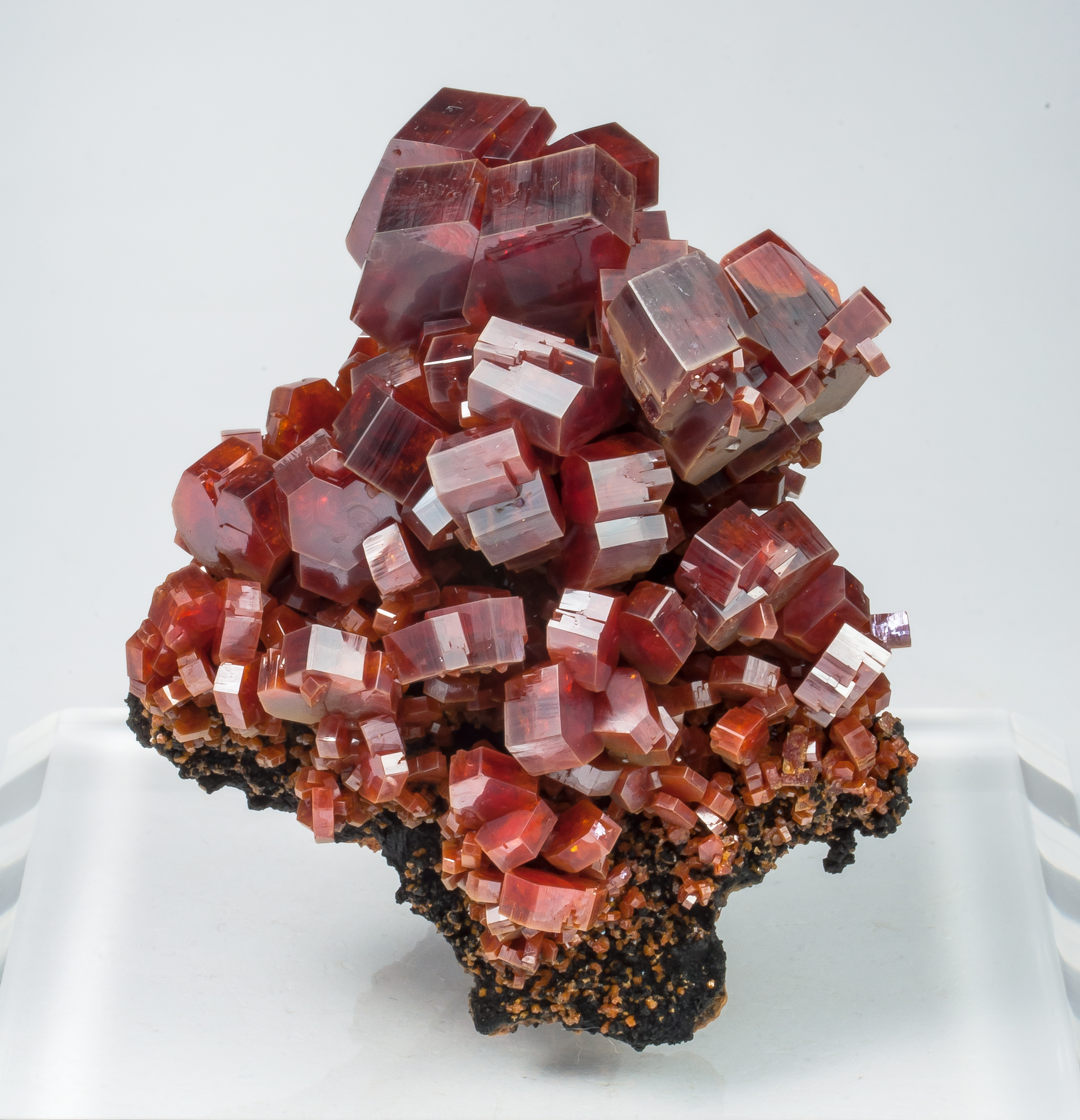 specimens/s_imagesAO6/Vanadinite-JFD144AO6f.jpg