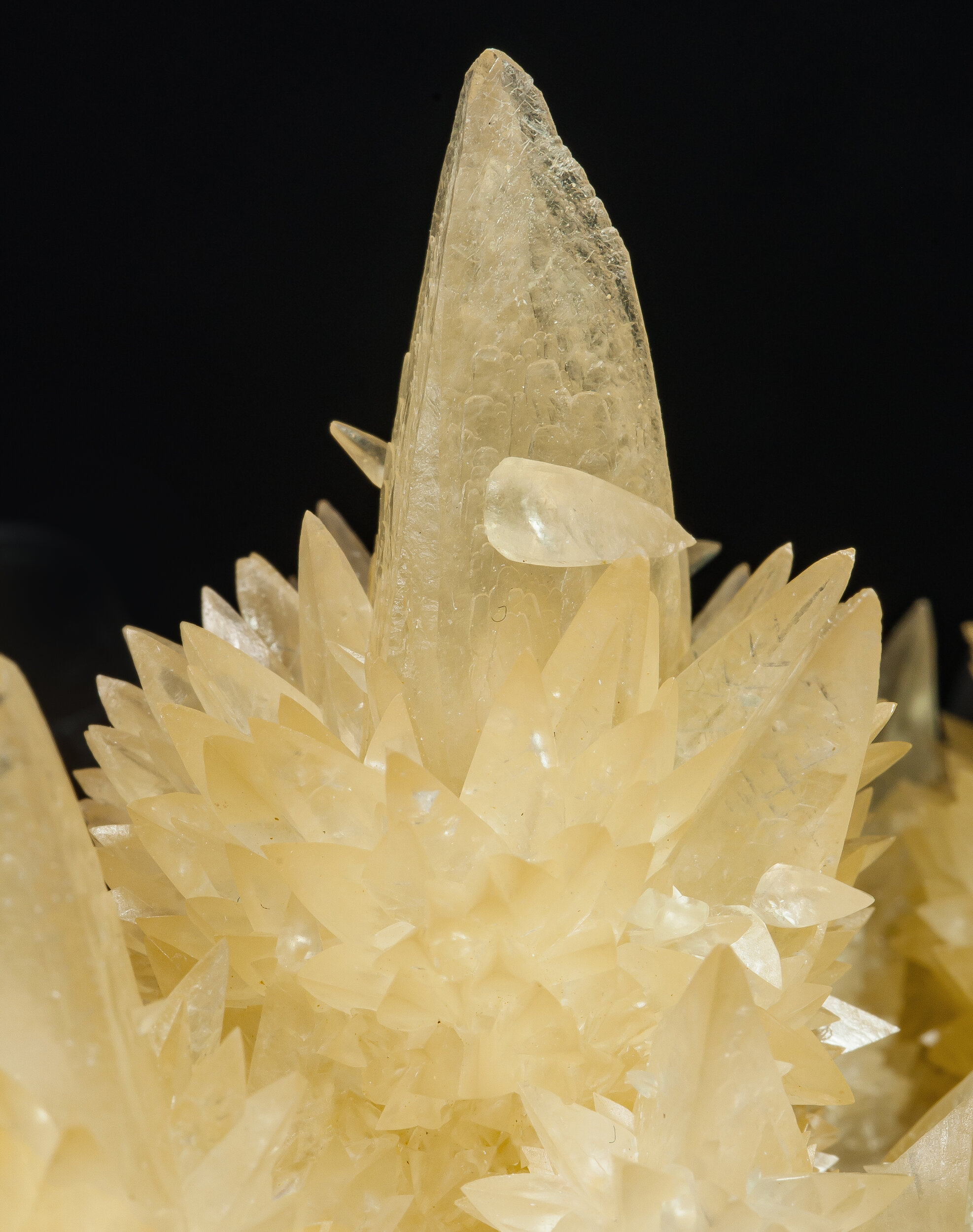 specimens/s_imagesAO7/Calcite-NFM76AO7d.jpg