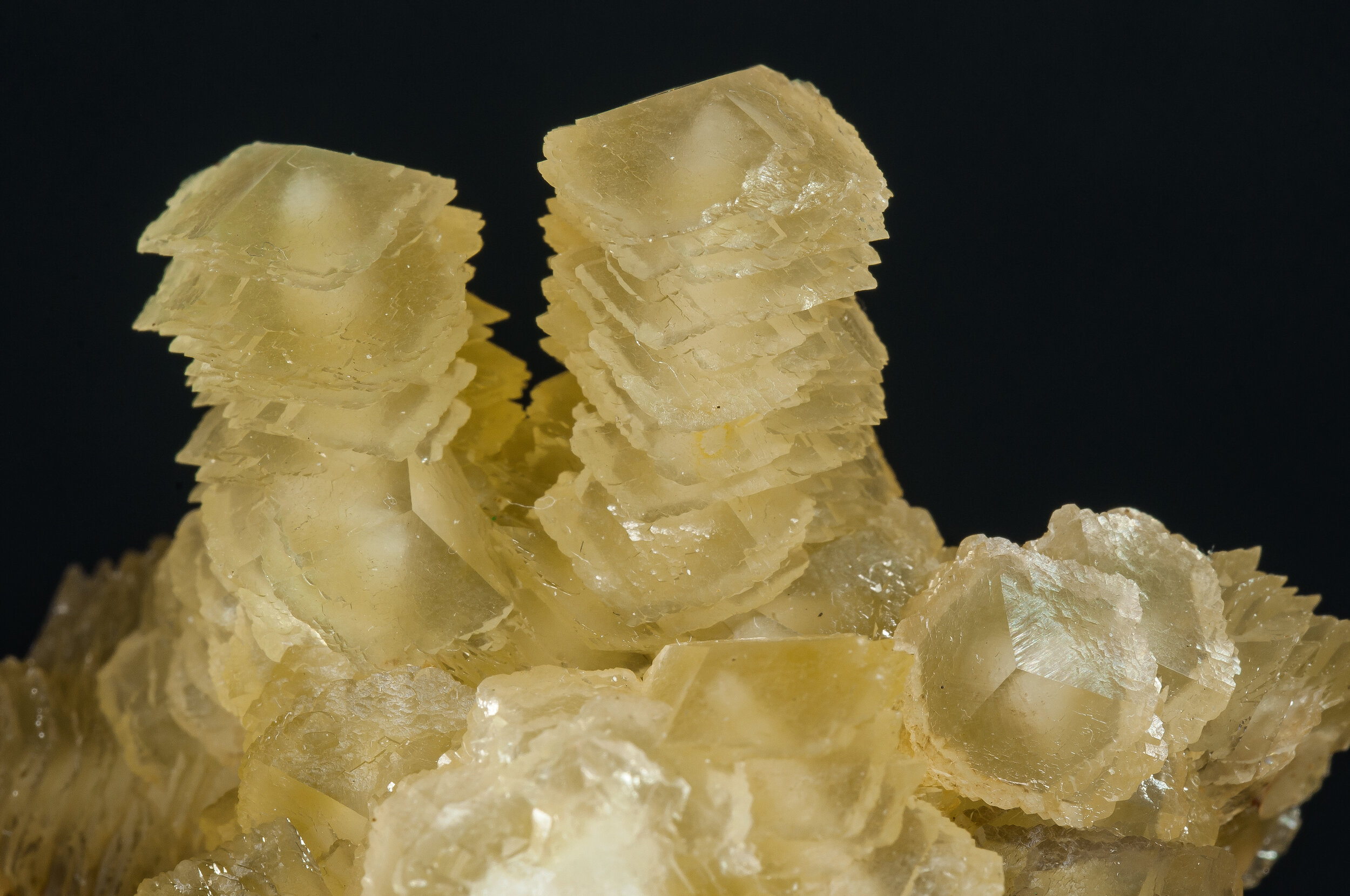 specimens/s_imagesAO7/Calcite-TRB87AO7d.jpg