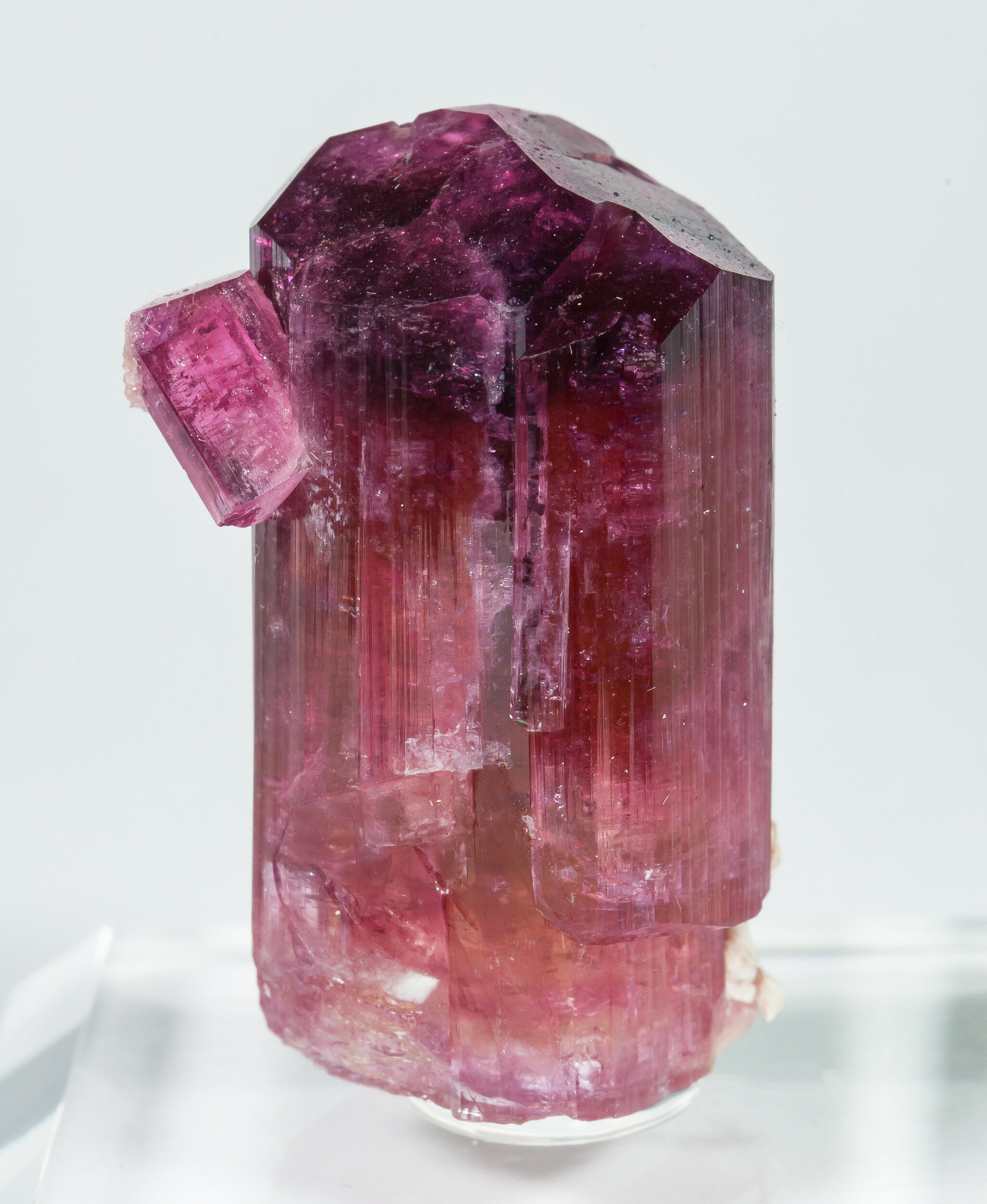 specimens/s_imagesAO7/Elbaite-EXL69AO7f.jpg