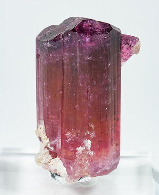 Elbaite-Schorl Series (variety rubellite). Rear