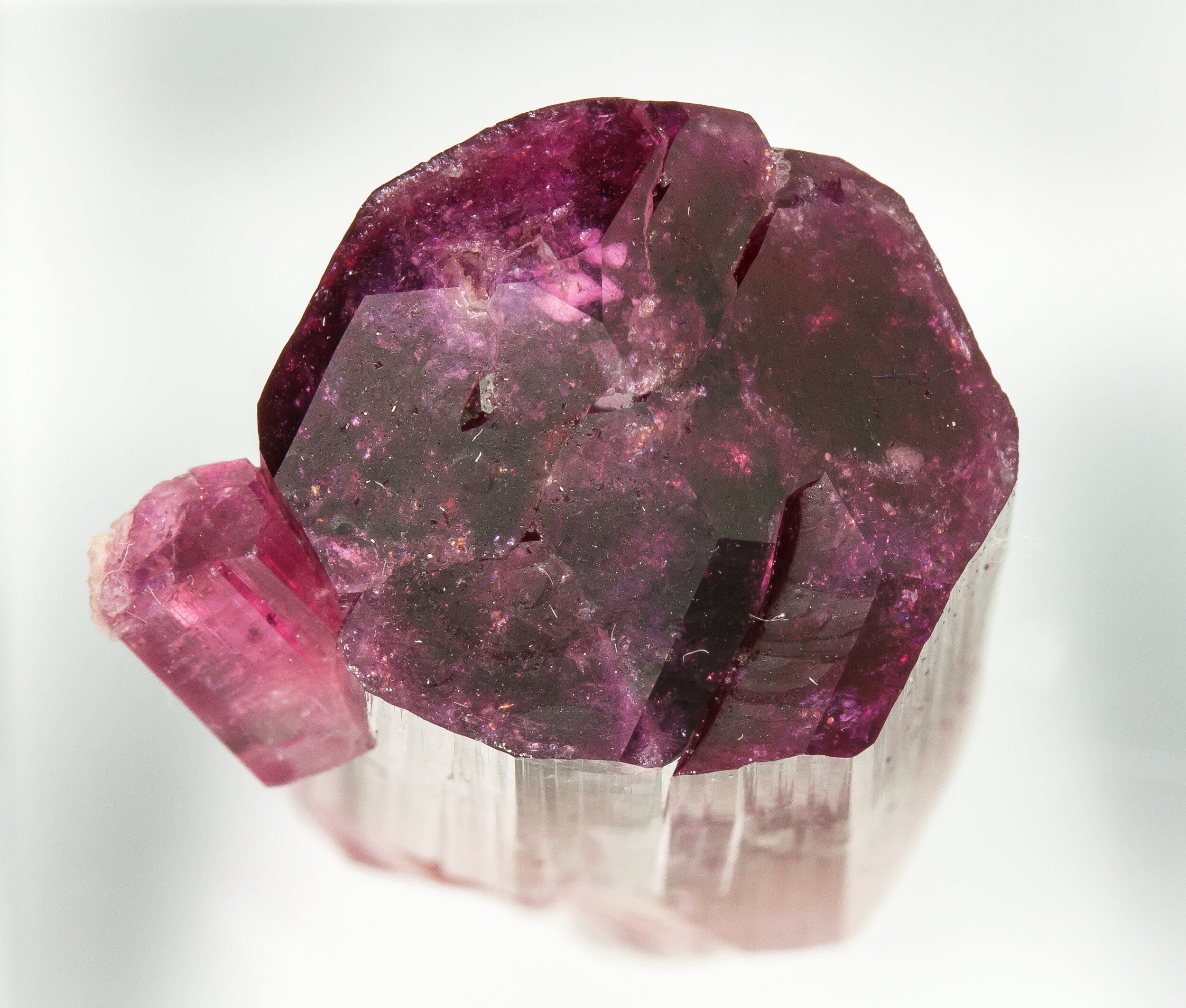 specimens/s_imagesAO7/Elbaite-EXL69AO7t.jpg