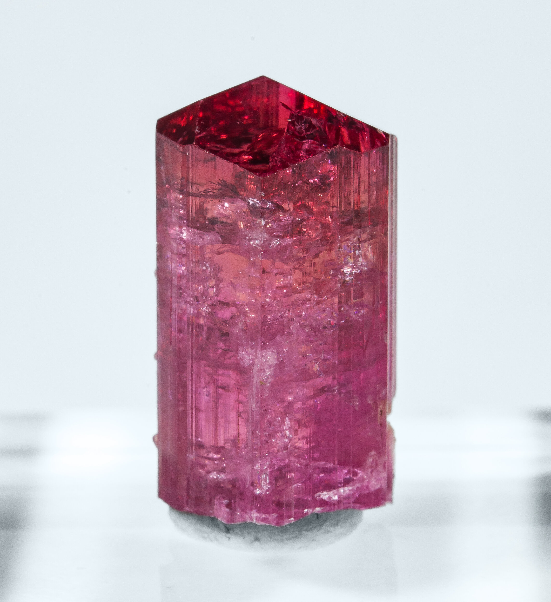 specimens/s_imagesAO7/Elbaite_rubellite-NTM69AO7r.jpg