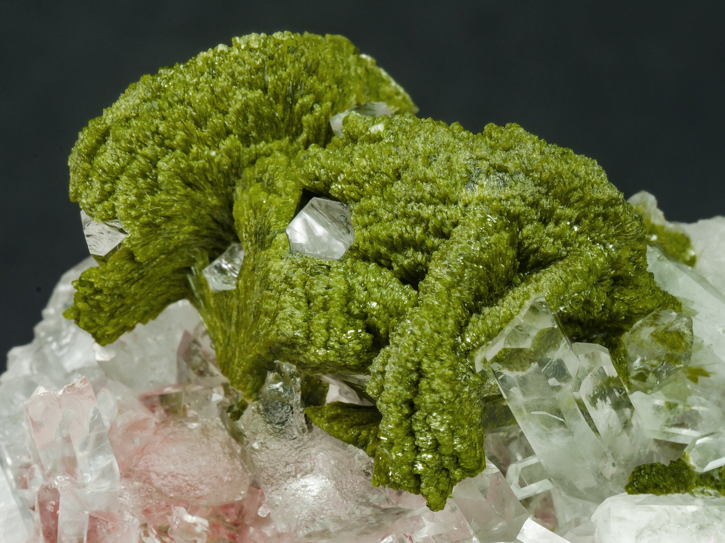 specimens/s_imagesAO7/Epidote-ERT86AO7d.jpg