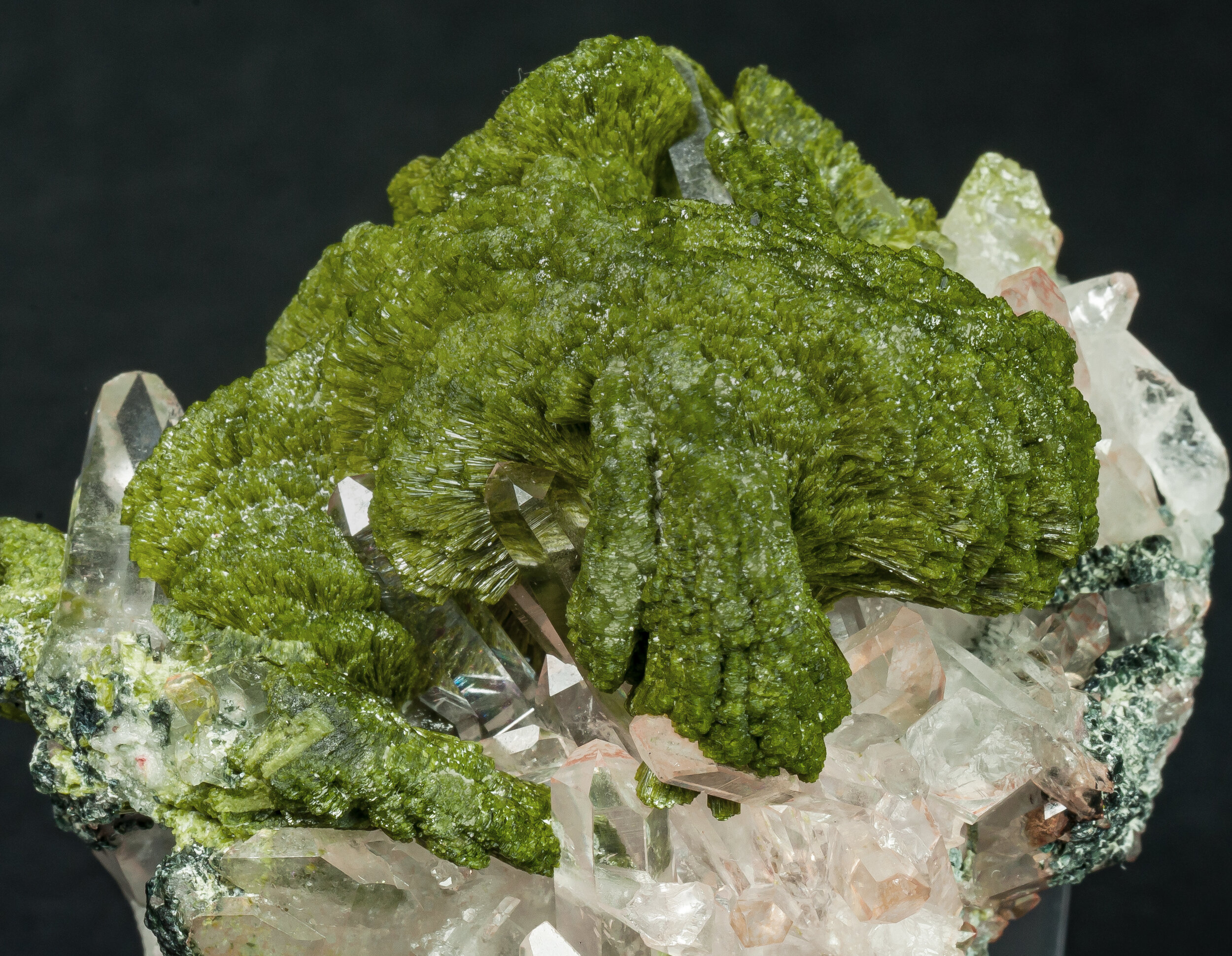 specimens/s_imagesAO7/Epidote-EXL96AO7d.jpg