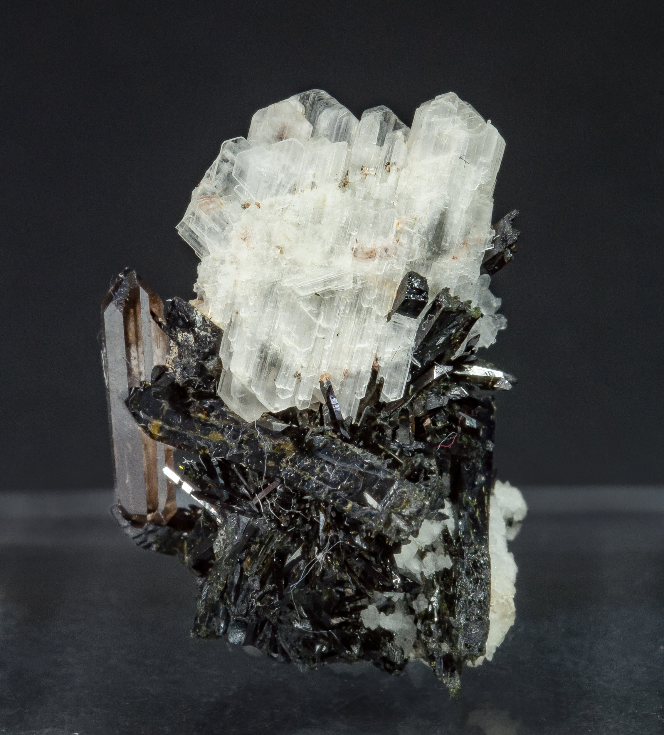 specimens/s_imagesAO7/Eudidymite-MTX67AO7f.jpg