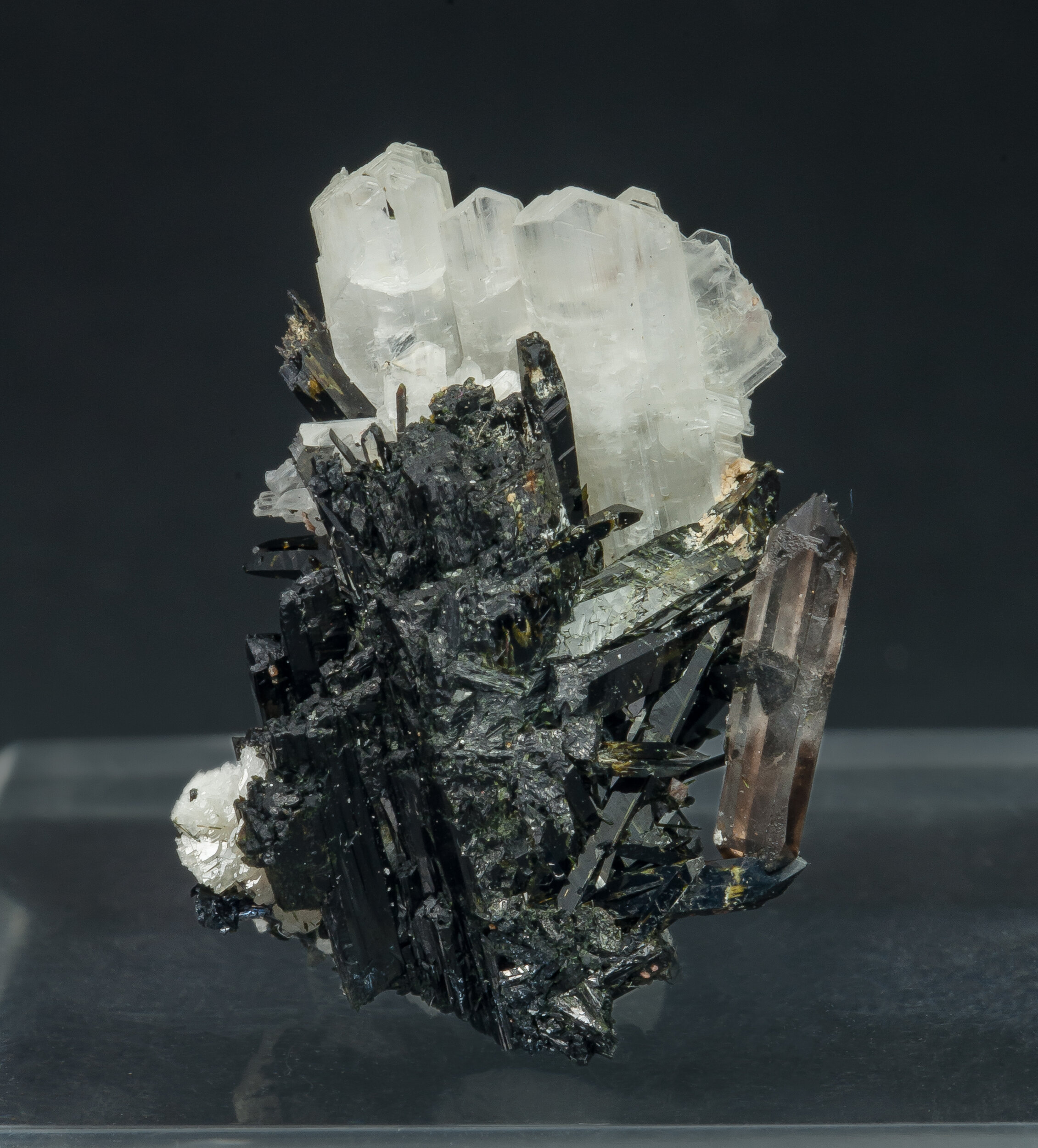 specimens/s_imagesAO7/Eudidymite-MTX67AO7r.jpg