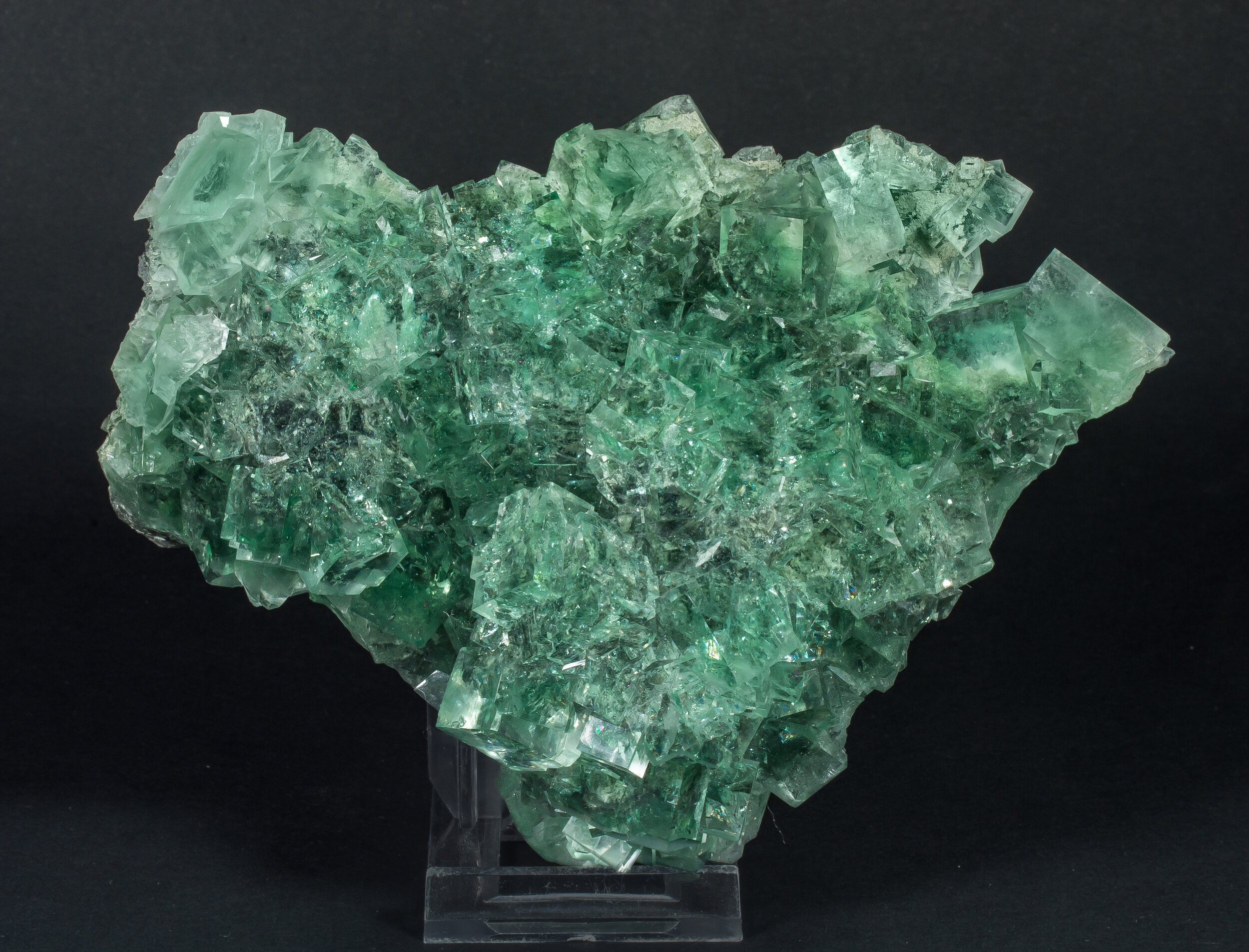 specimens/s_imagesAO7/Fluorite-EAX52AO7f.jpg