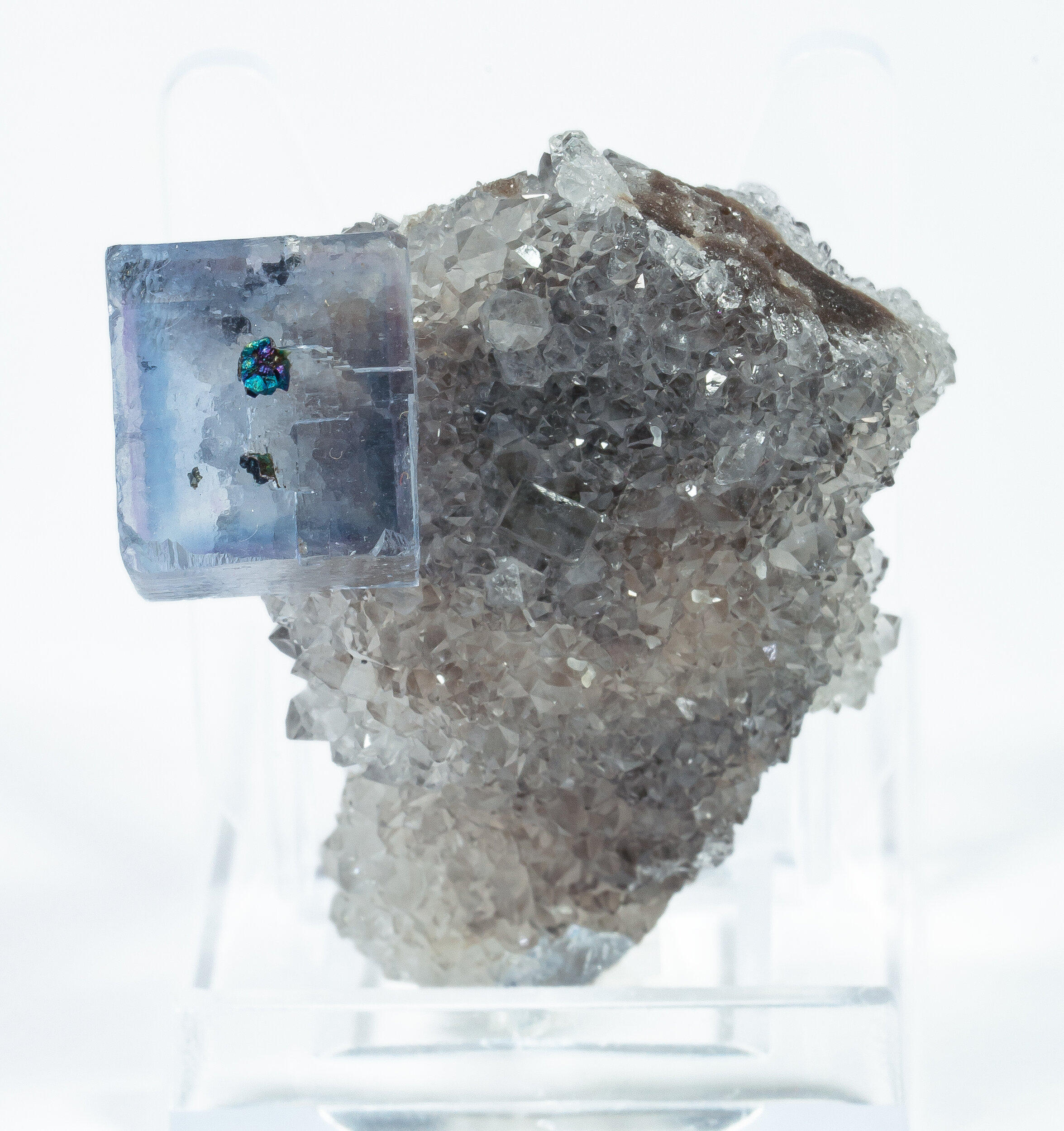 specimens/s_imagesAO7/Fluorite-JFD151AO7f.jpg