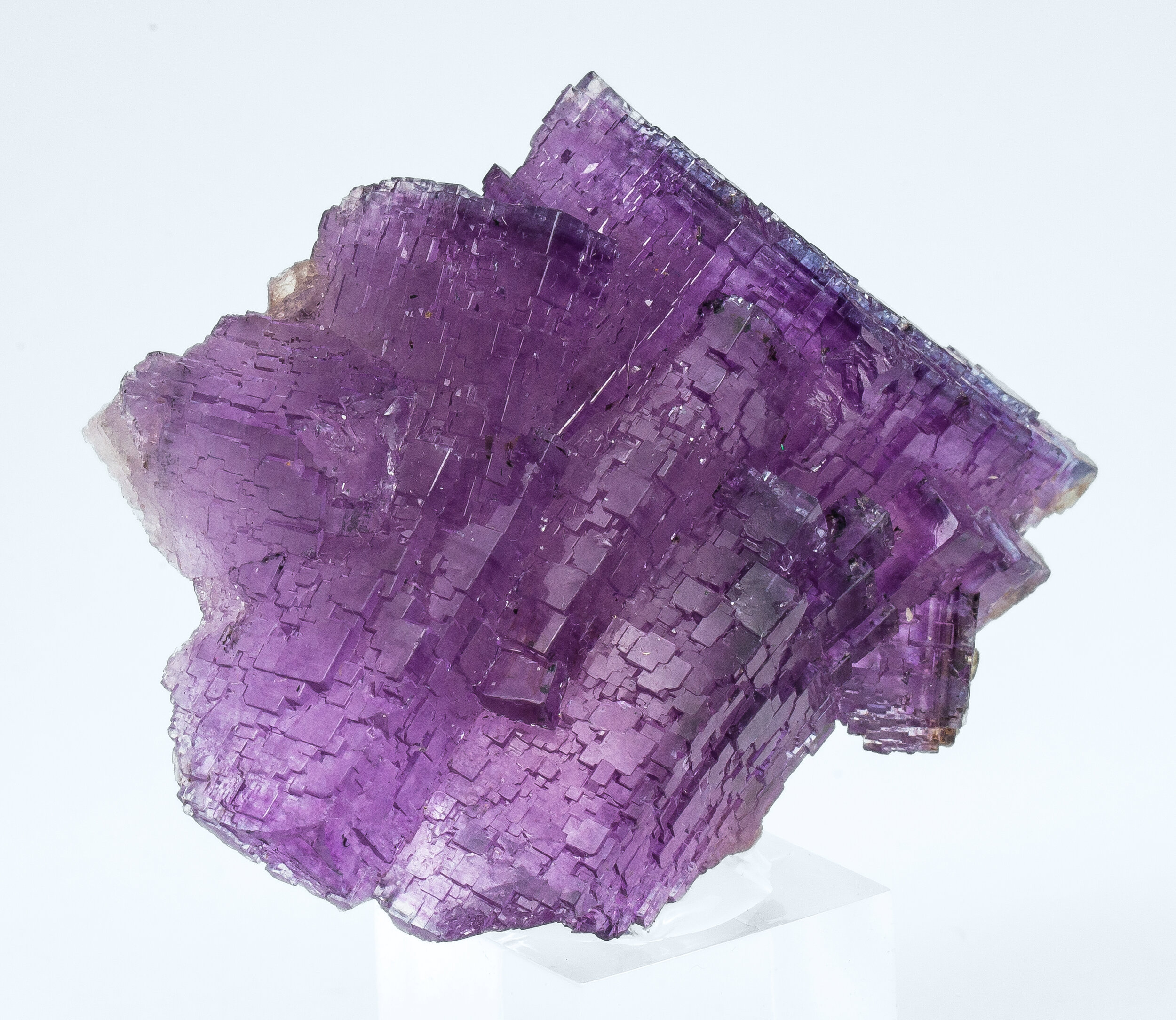 specimens/s_imagesAO7/Fluorite-NHB96AO7s.jpg