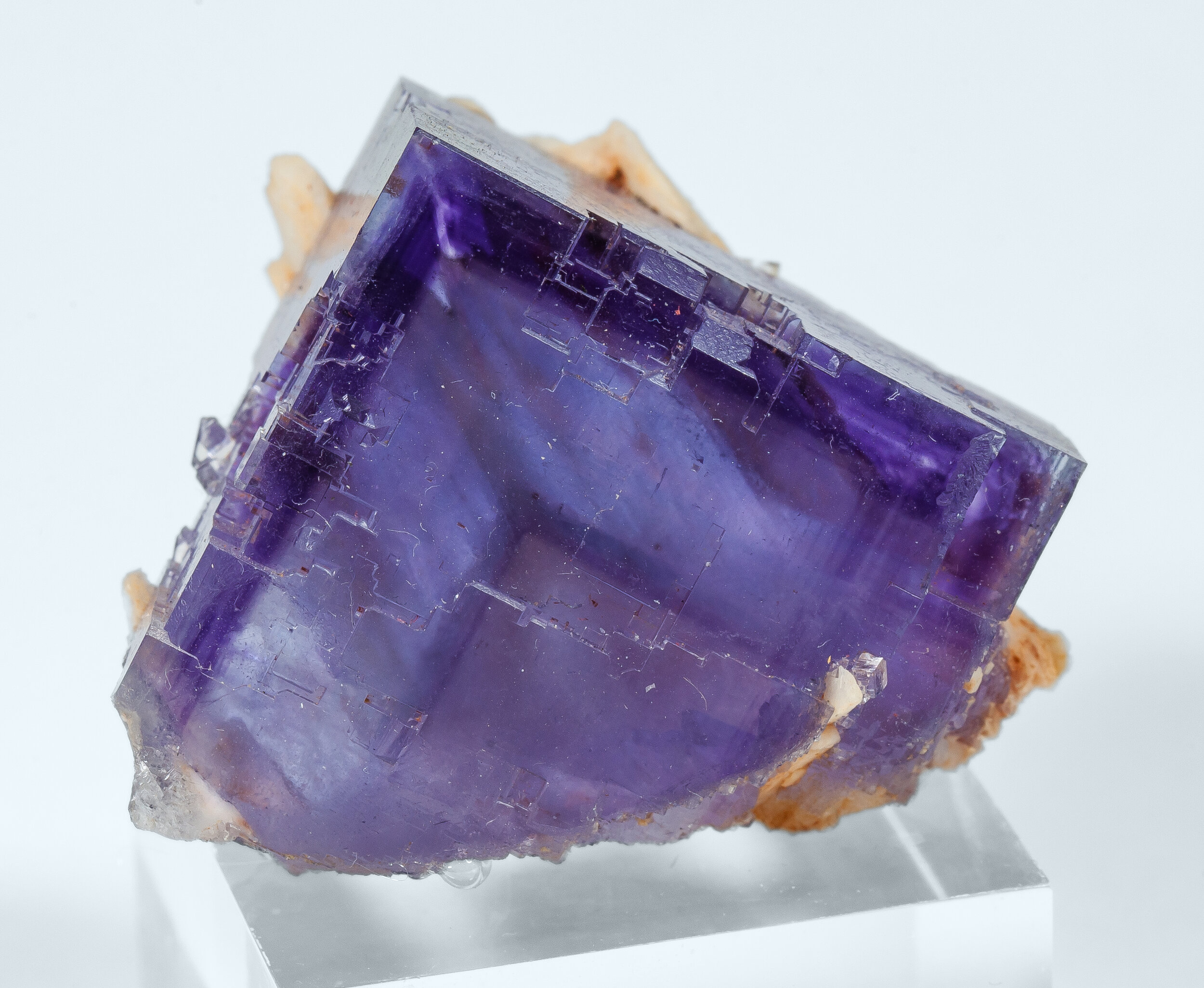 specimens/s_imagesAO7/Fluorite-NXM56AO7f.jpg