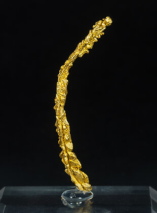 Gold (spinel twin). Rear