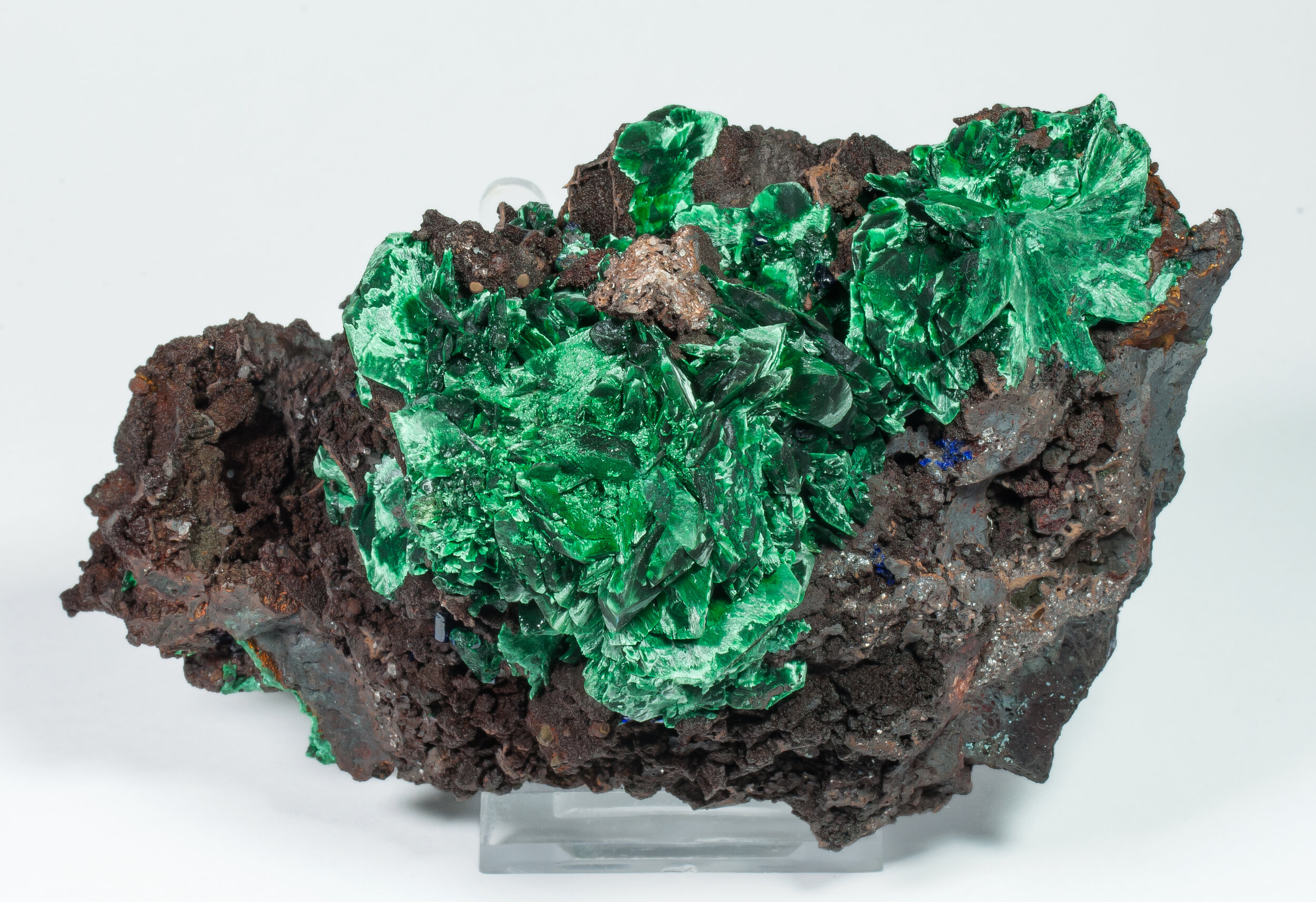 specimens/s_imagesAO7/Malachite-TFR27AO7t.jpg