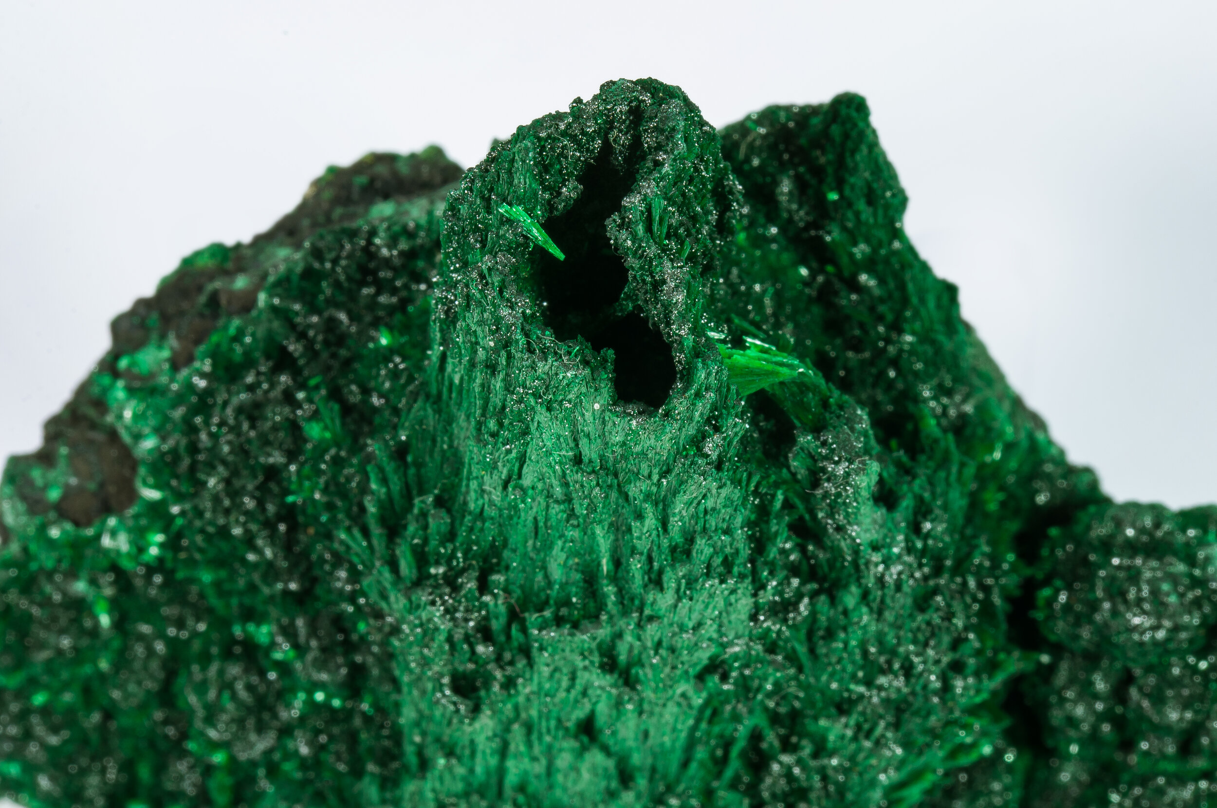 specimens/s_imagesAO7/Malachite-TXA47AO7d.jpg