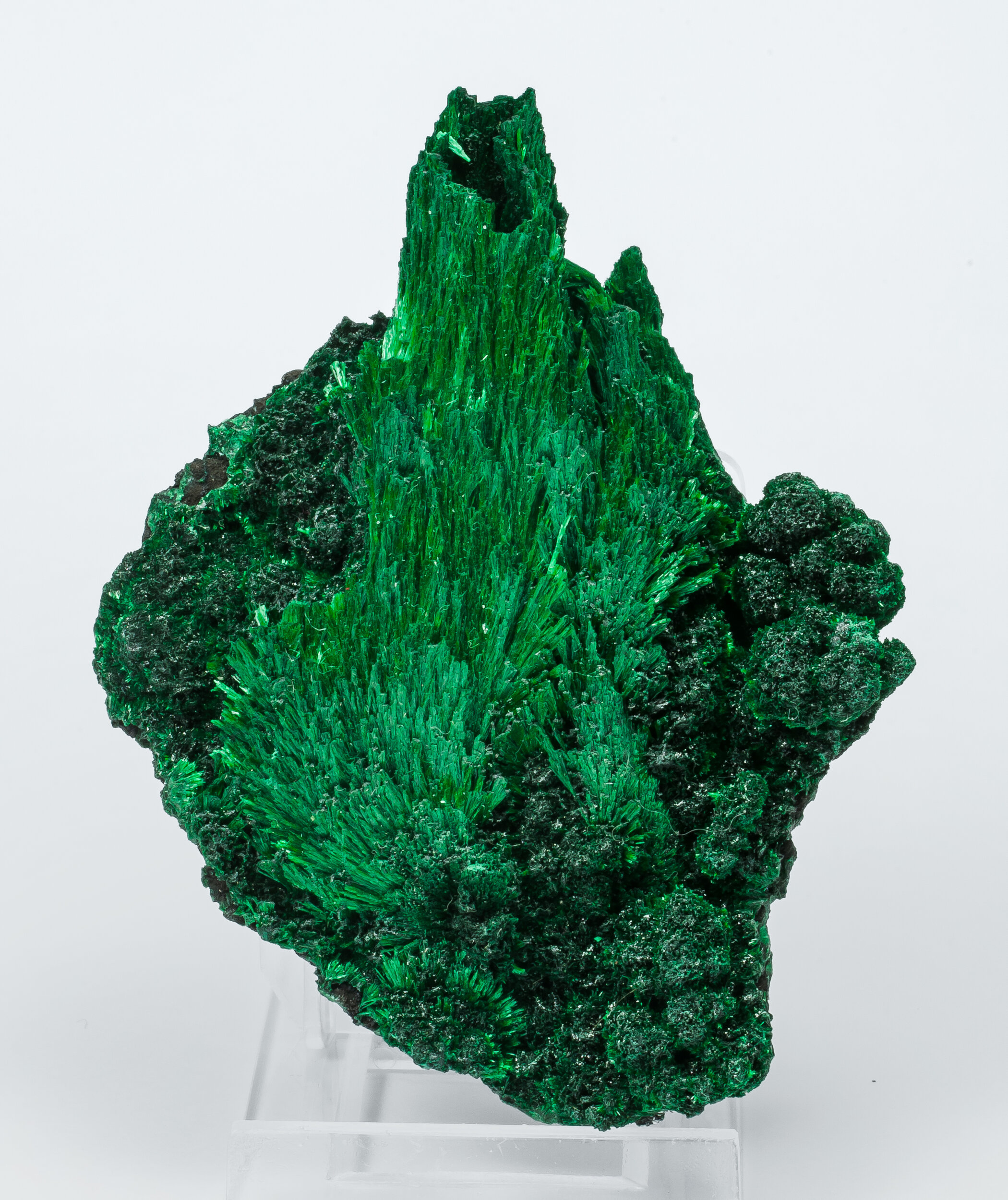 specimens/s_imagesAO7/Malachite-TXA47AO7f.jpg