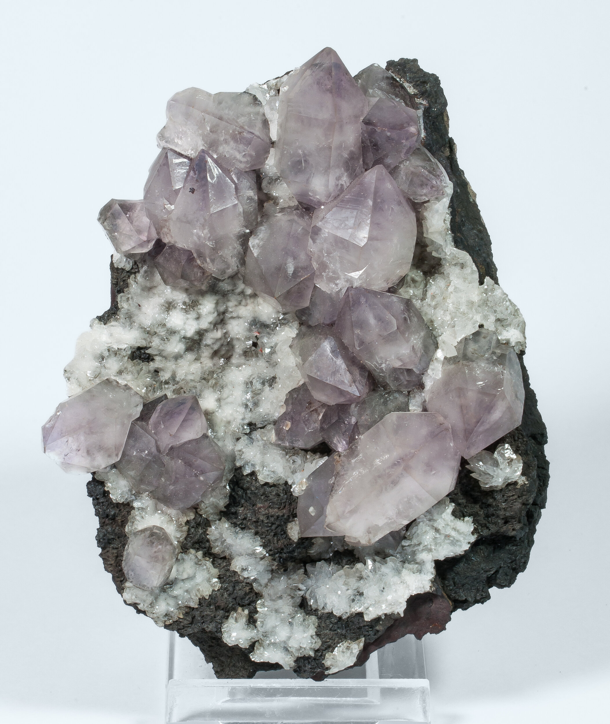 specimens/s_imagesAO7/Quartz_amethyst-NFR66AO7f.jpg