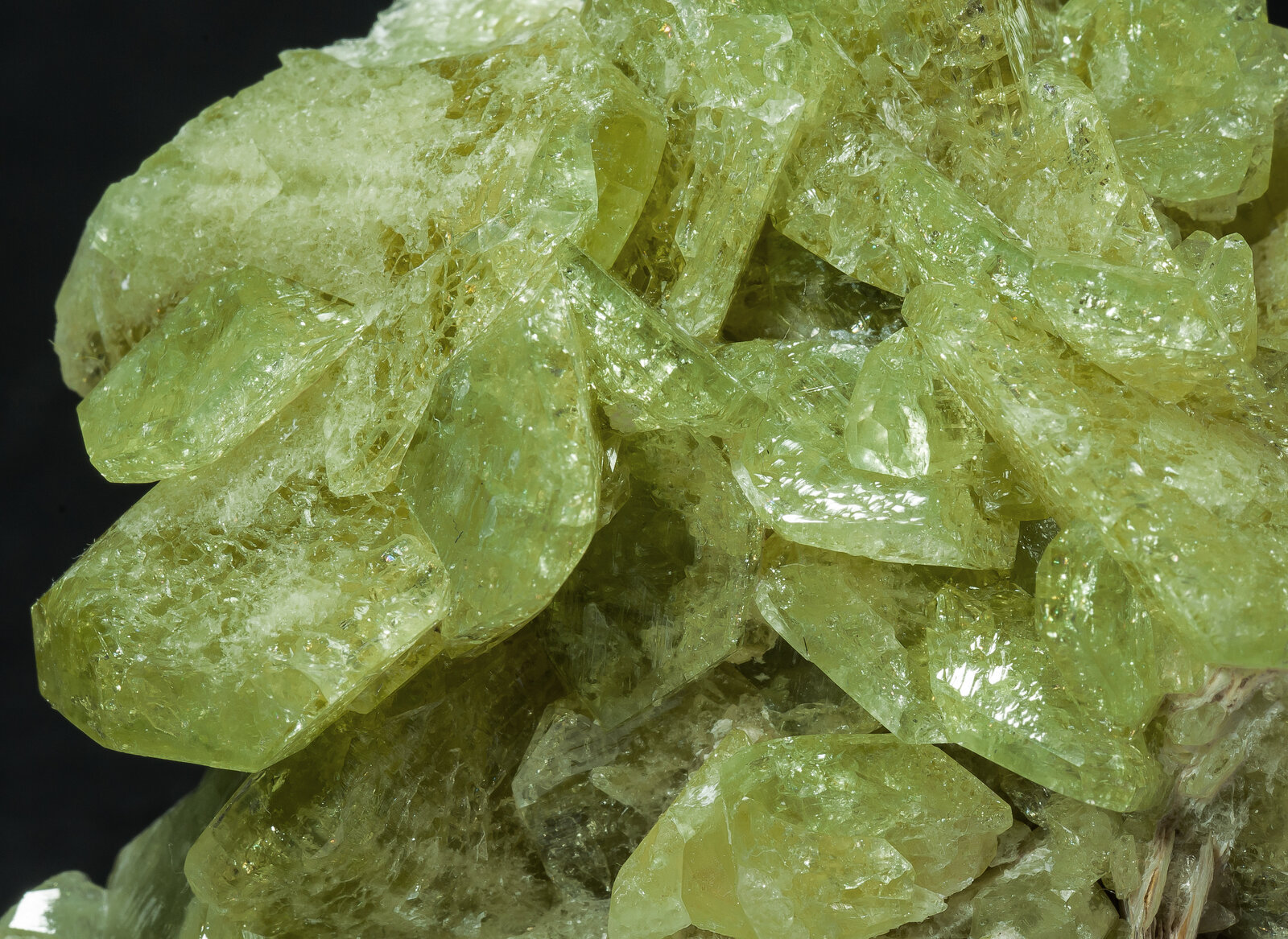 specimens/s_imagesAO8/Brazilianite-TBR91AO8d.jpg