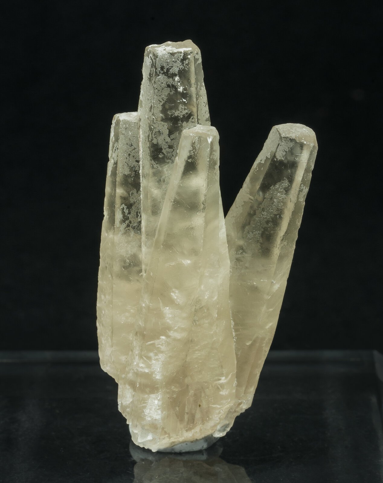 specimens/s_imagesAO8/Calcite-EMB11AO8f.jpg